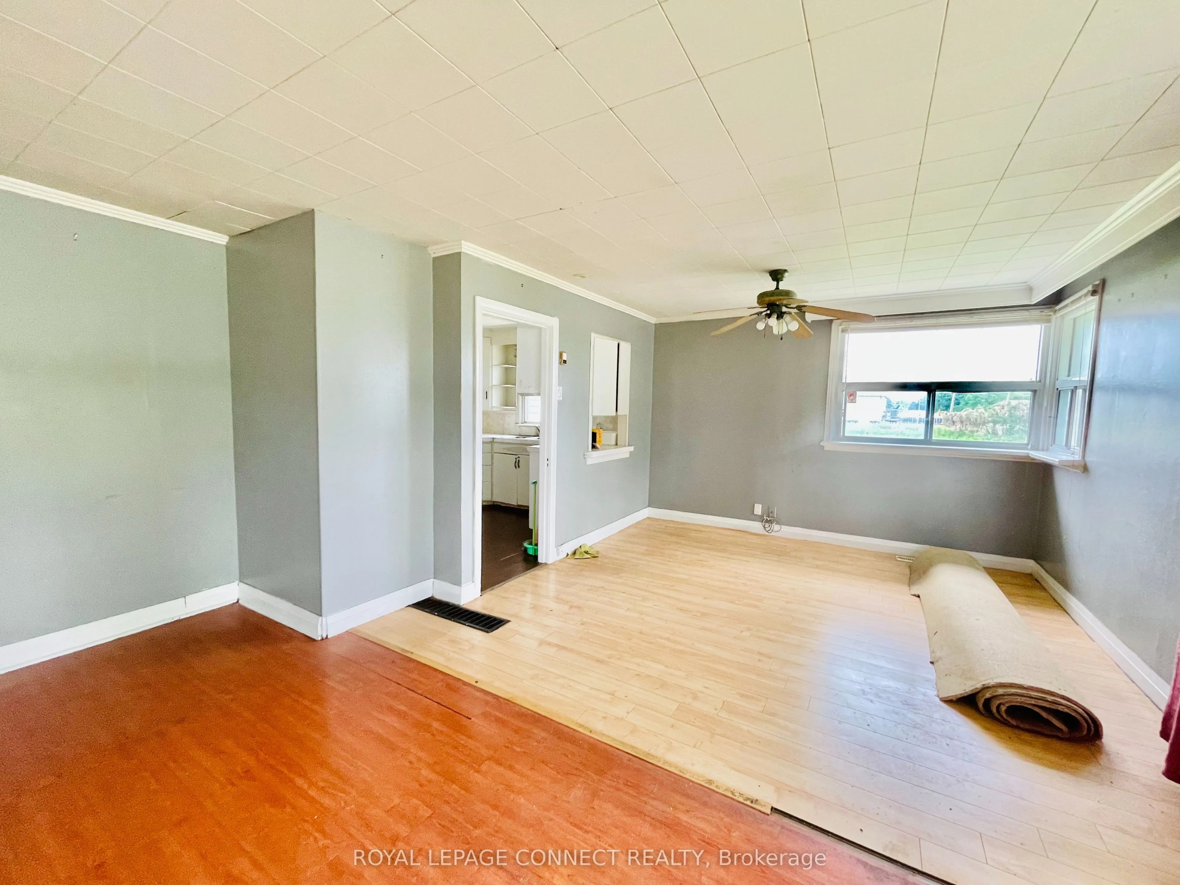 19470 Dufferin Street, #3