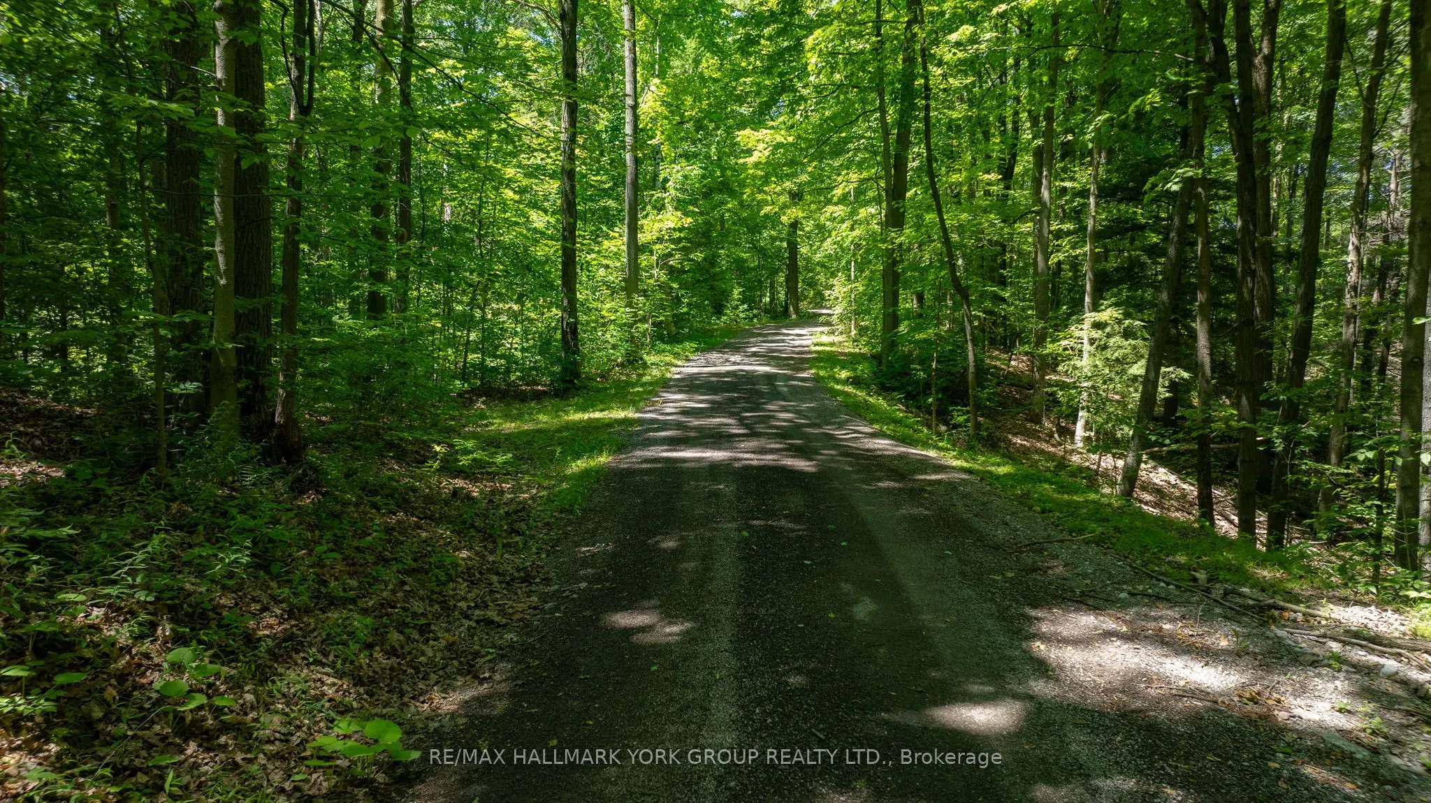 4235 17th Side Road