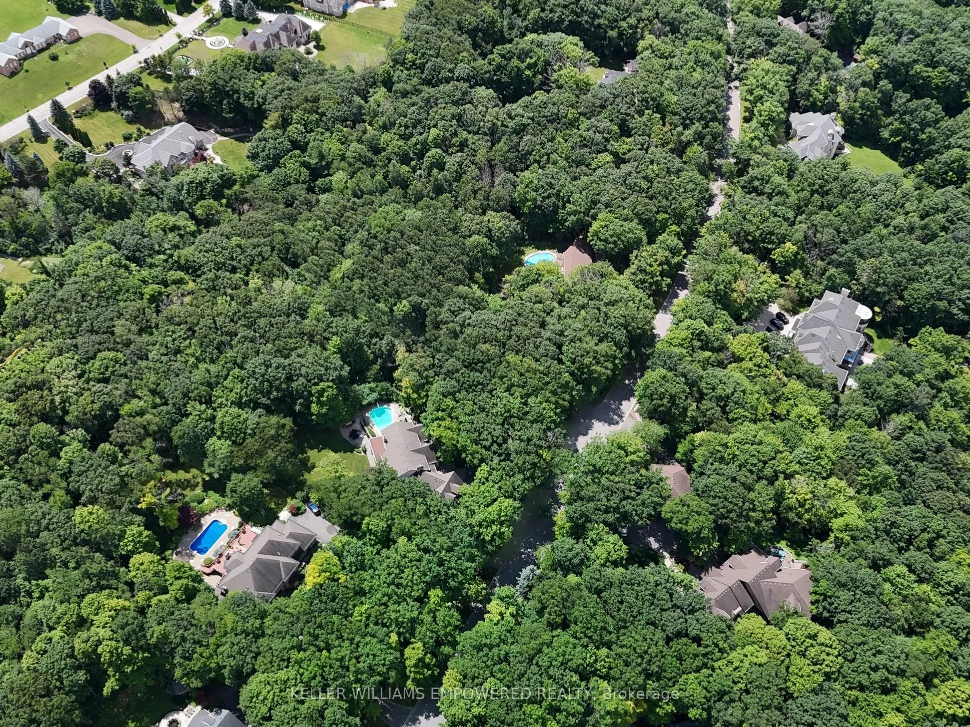 204 Forest Ridge Road