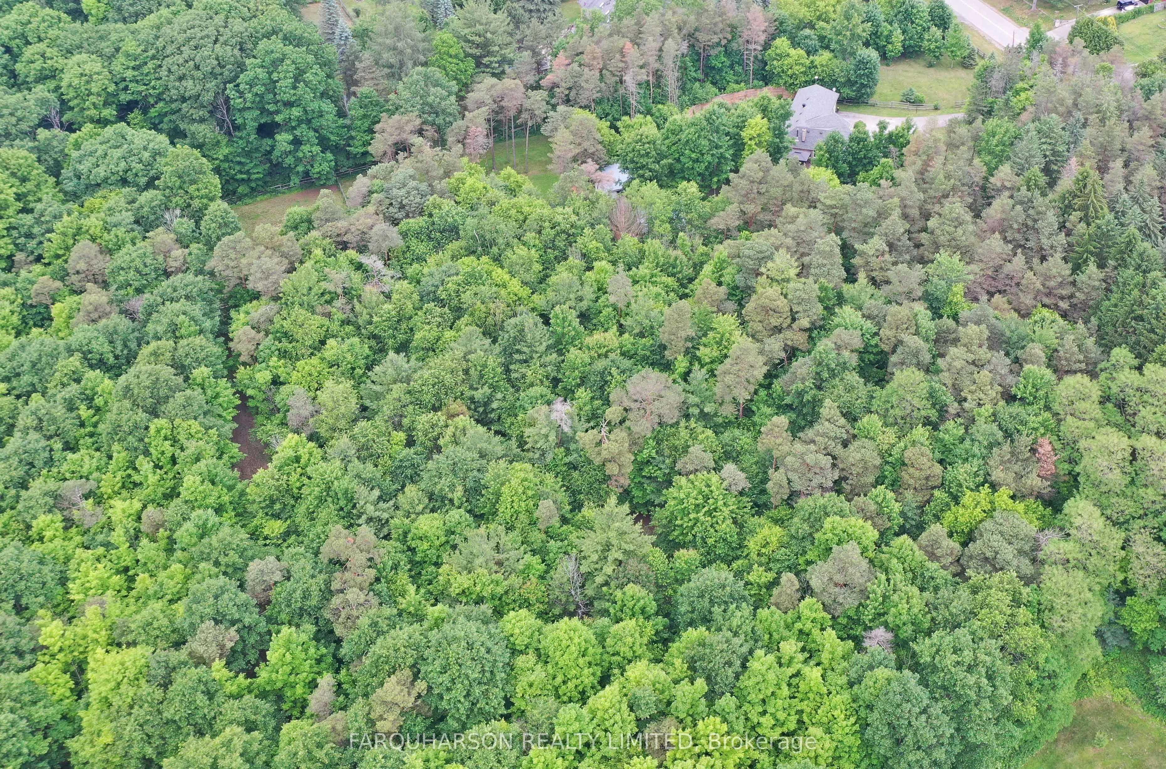 16832 Mccowan Road