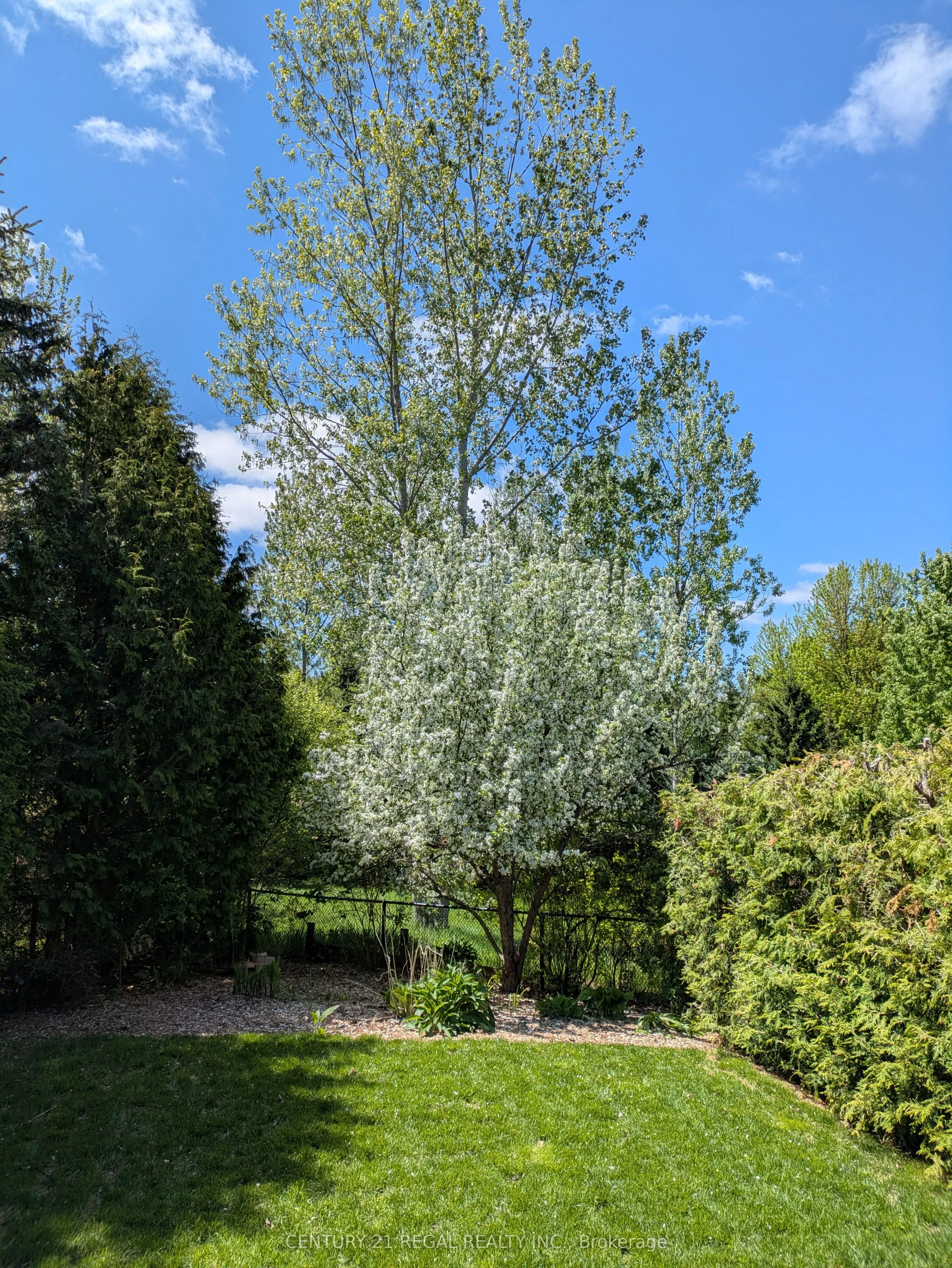 42 Ballymore Drive