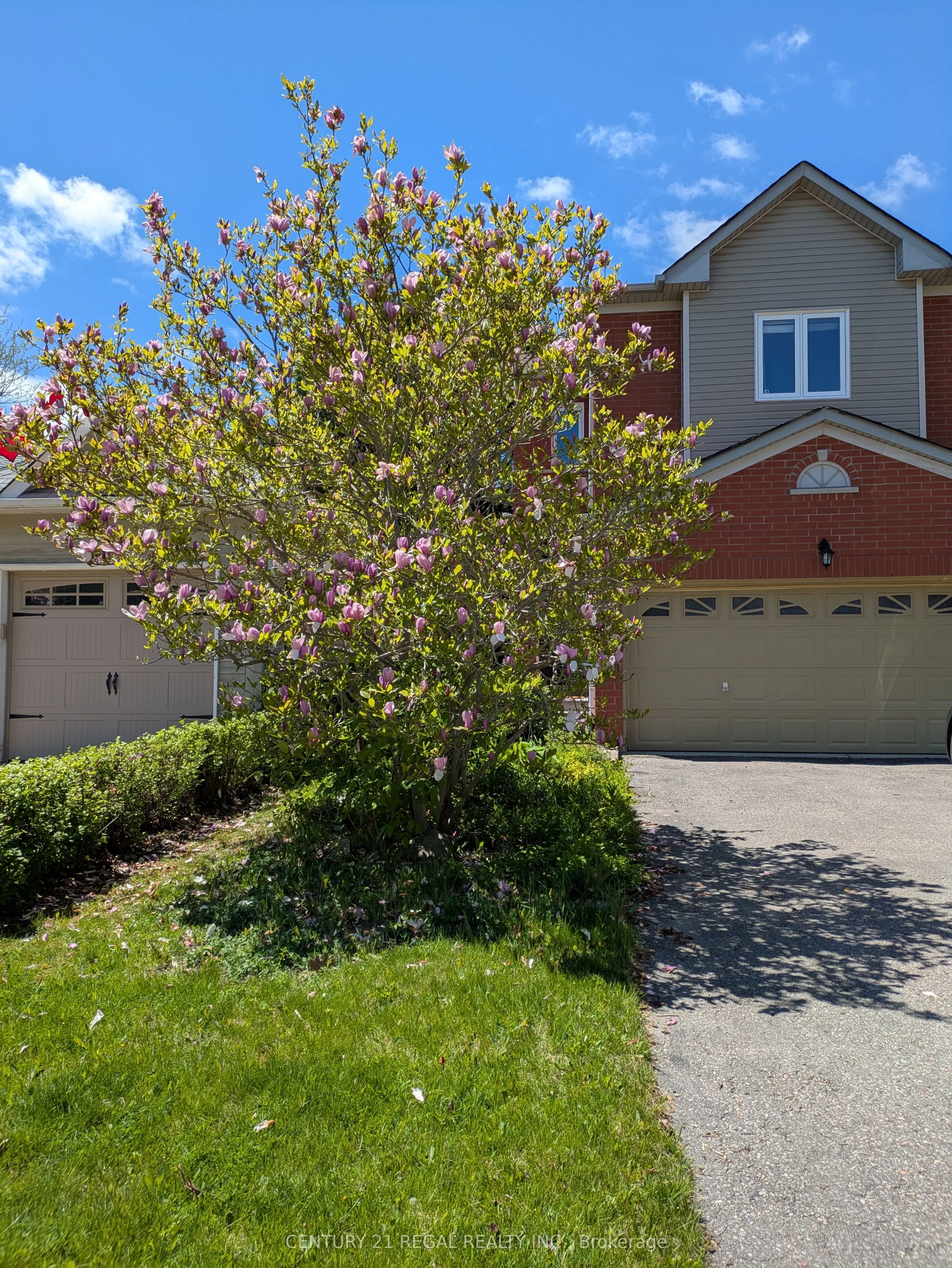 42 Ballymore Drive
