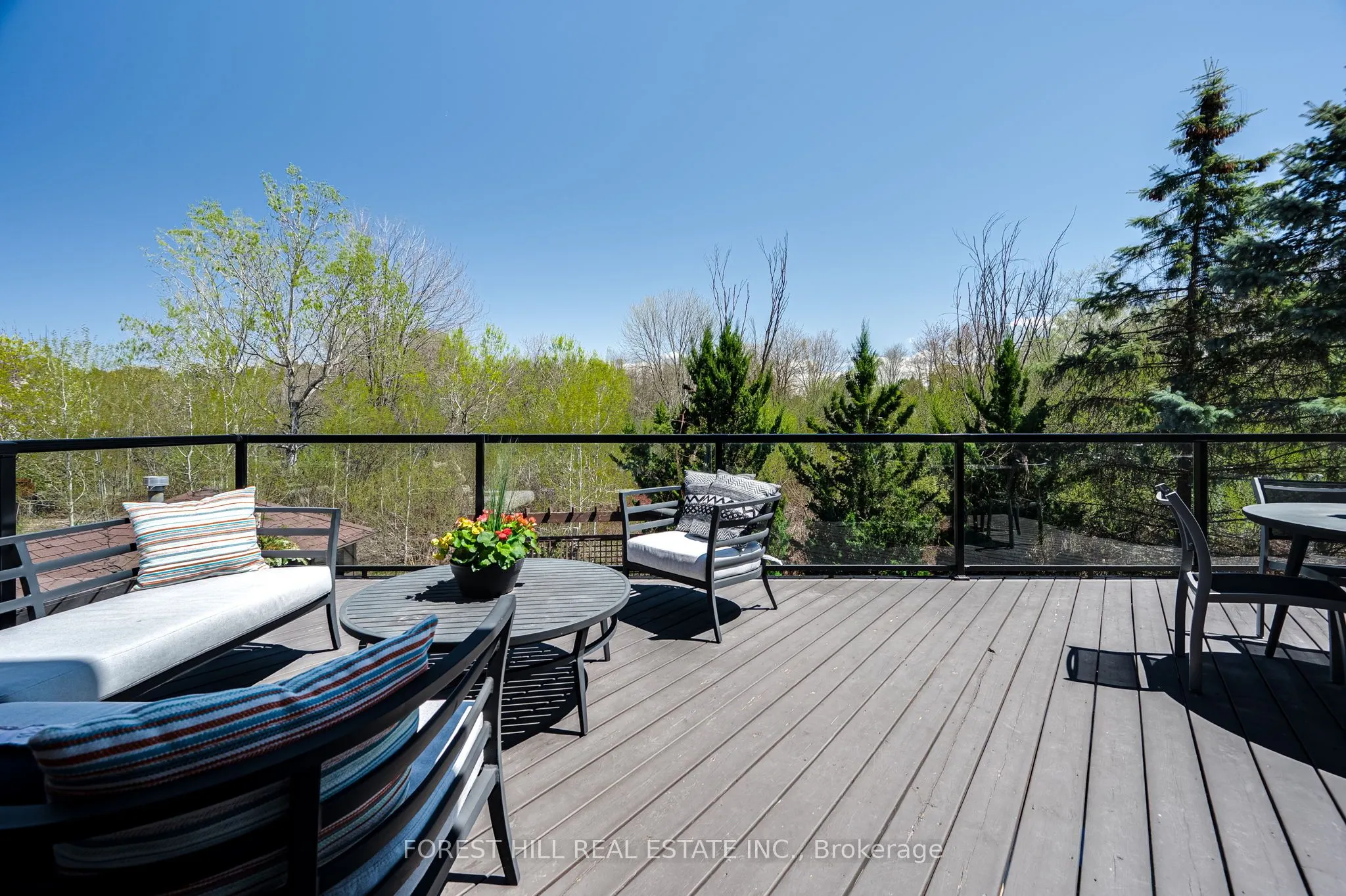29 Red Cardinal Trail
