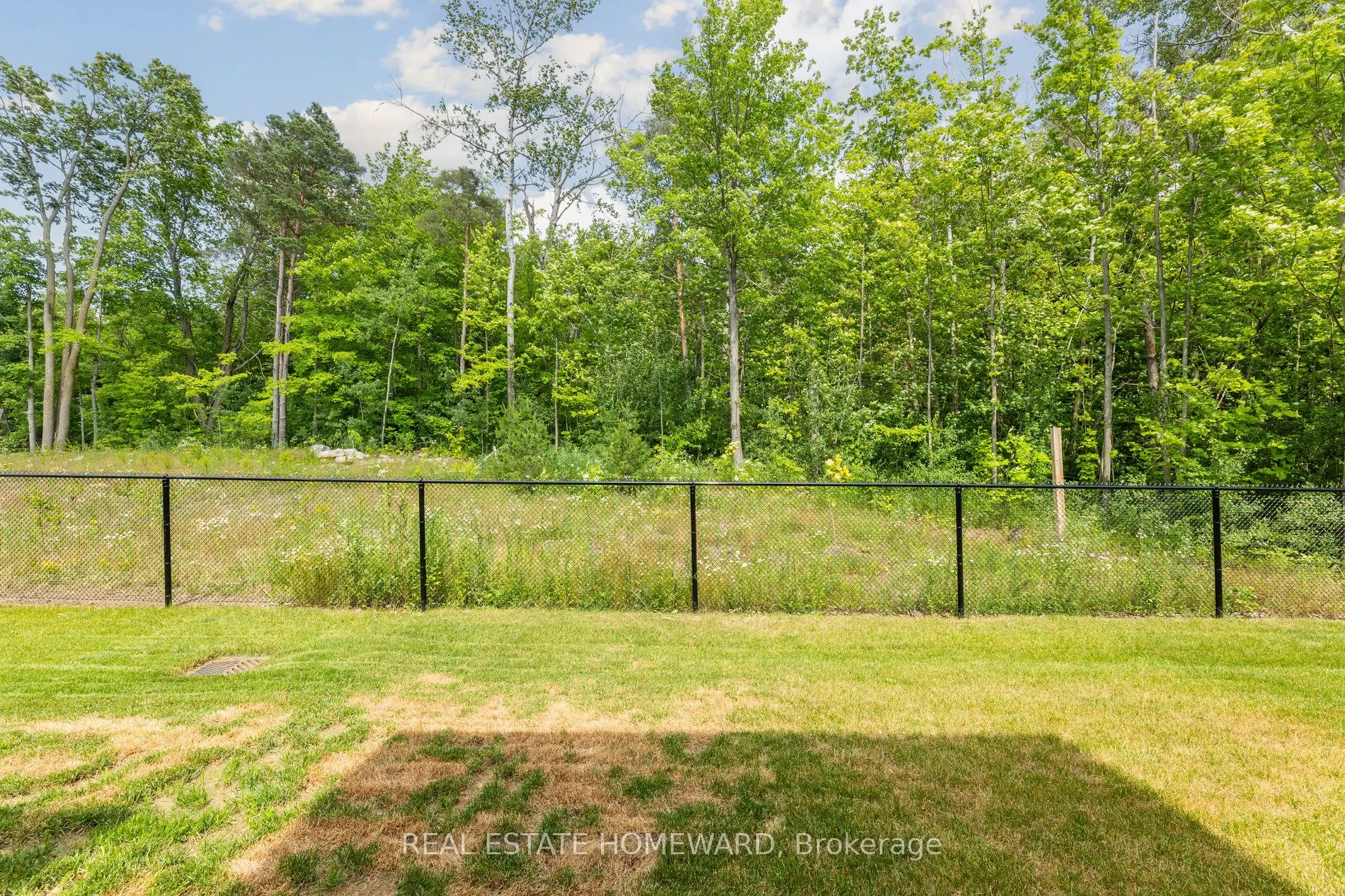 11 Lois Torrance Trail