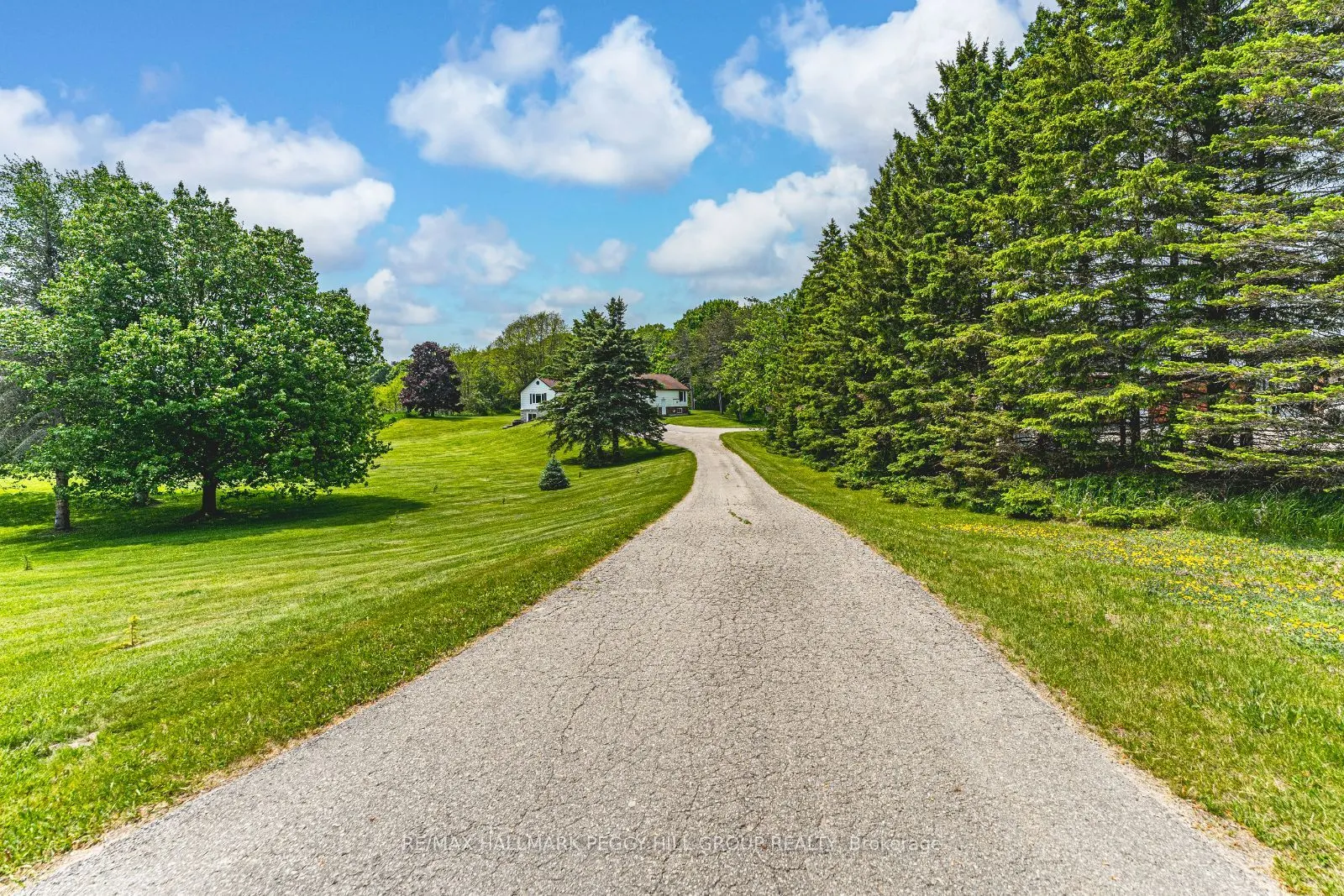 1238 Adjala-Tecumseth Townline