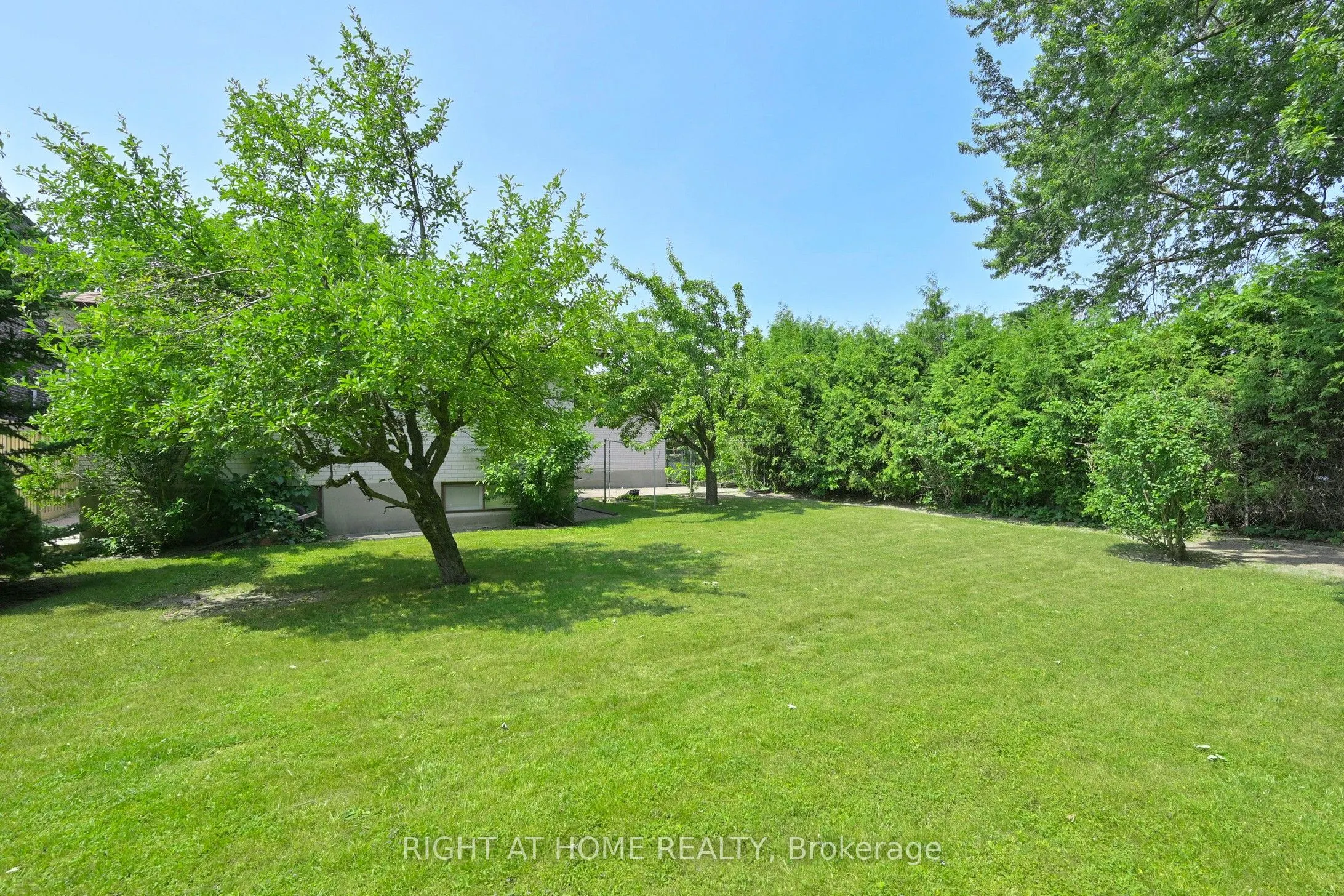 67 Netherford Road