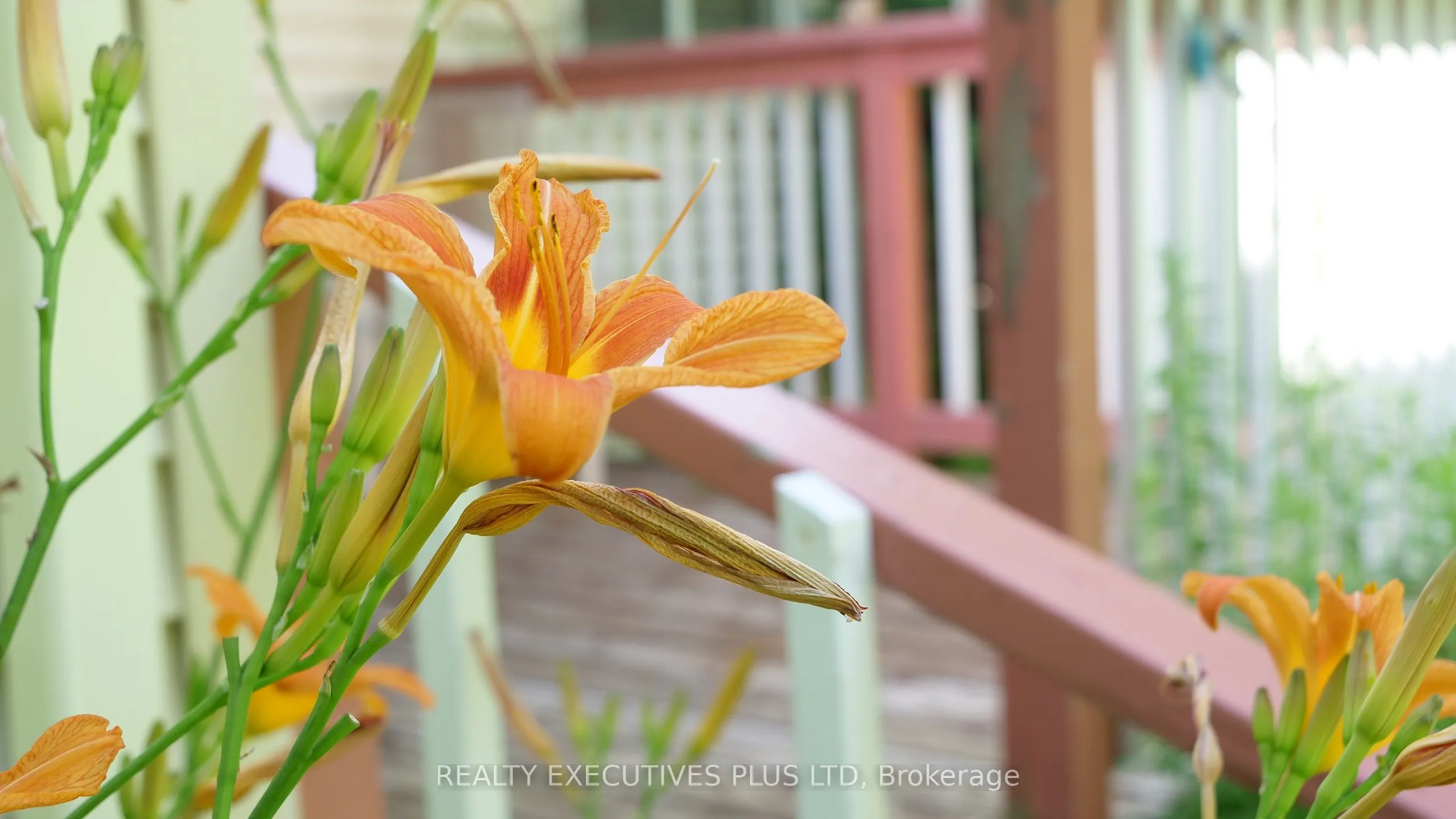 5 Pineview Court
