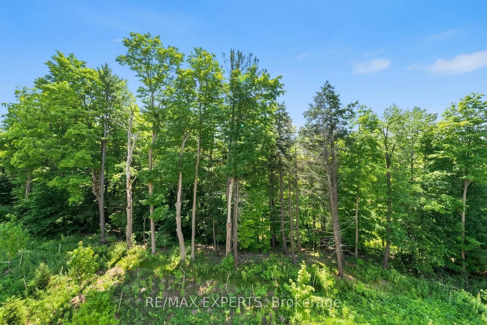 91 Archambault Way
