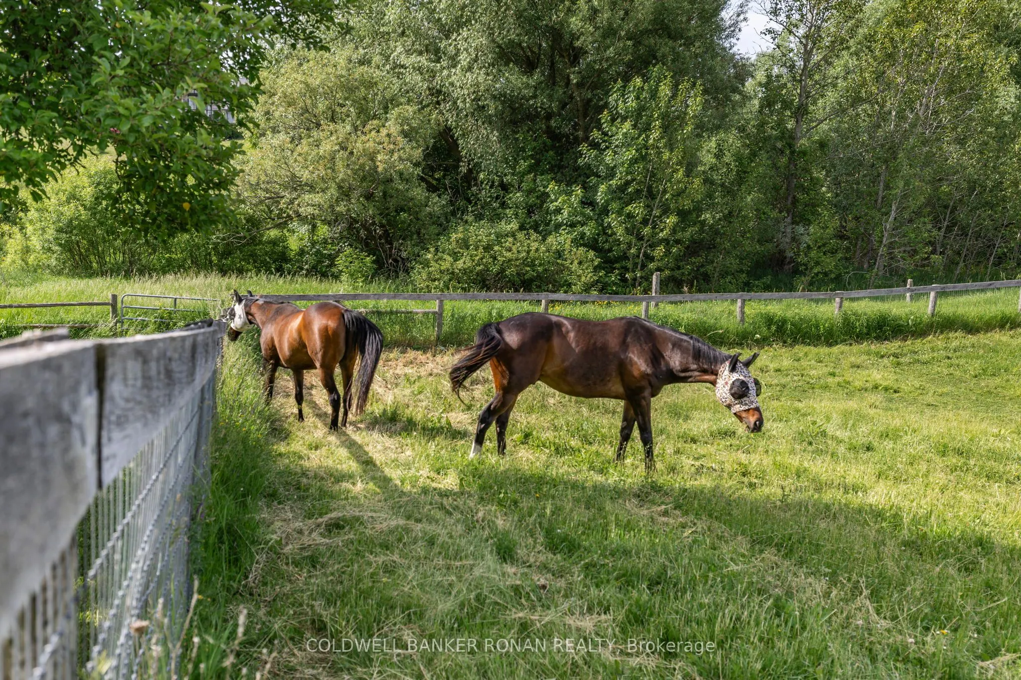 4582 concession Road 5