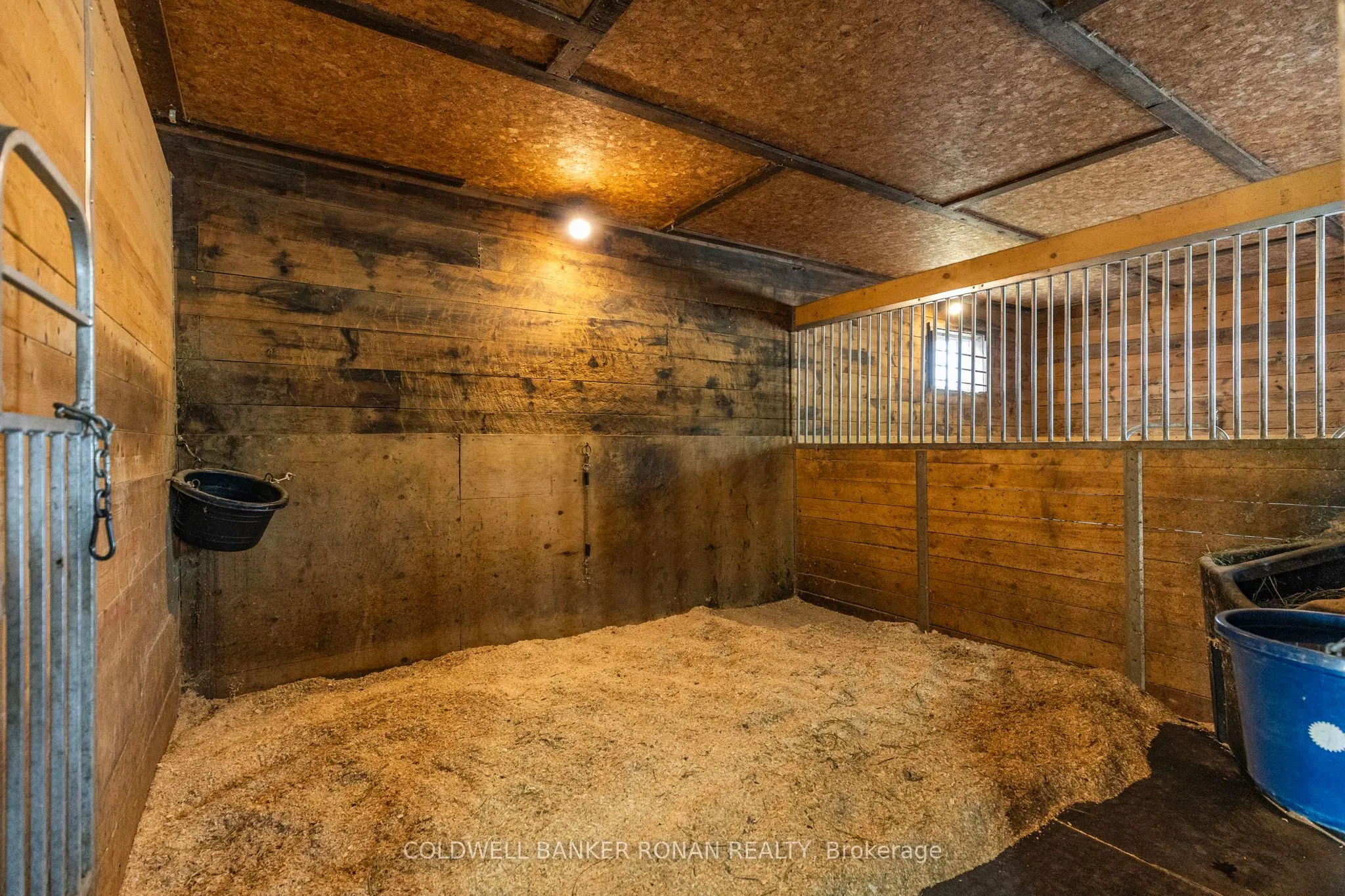 4582 concession Road 5