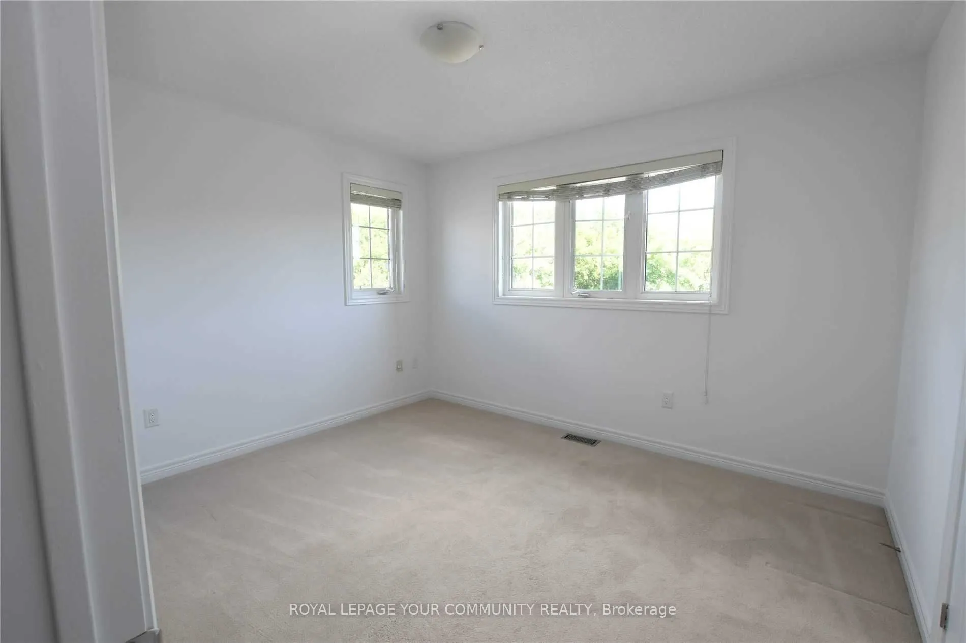 38 Green Darner Trail