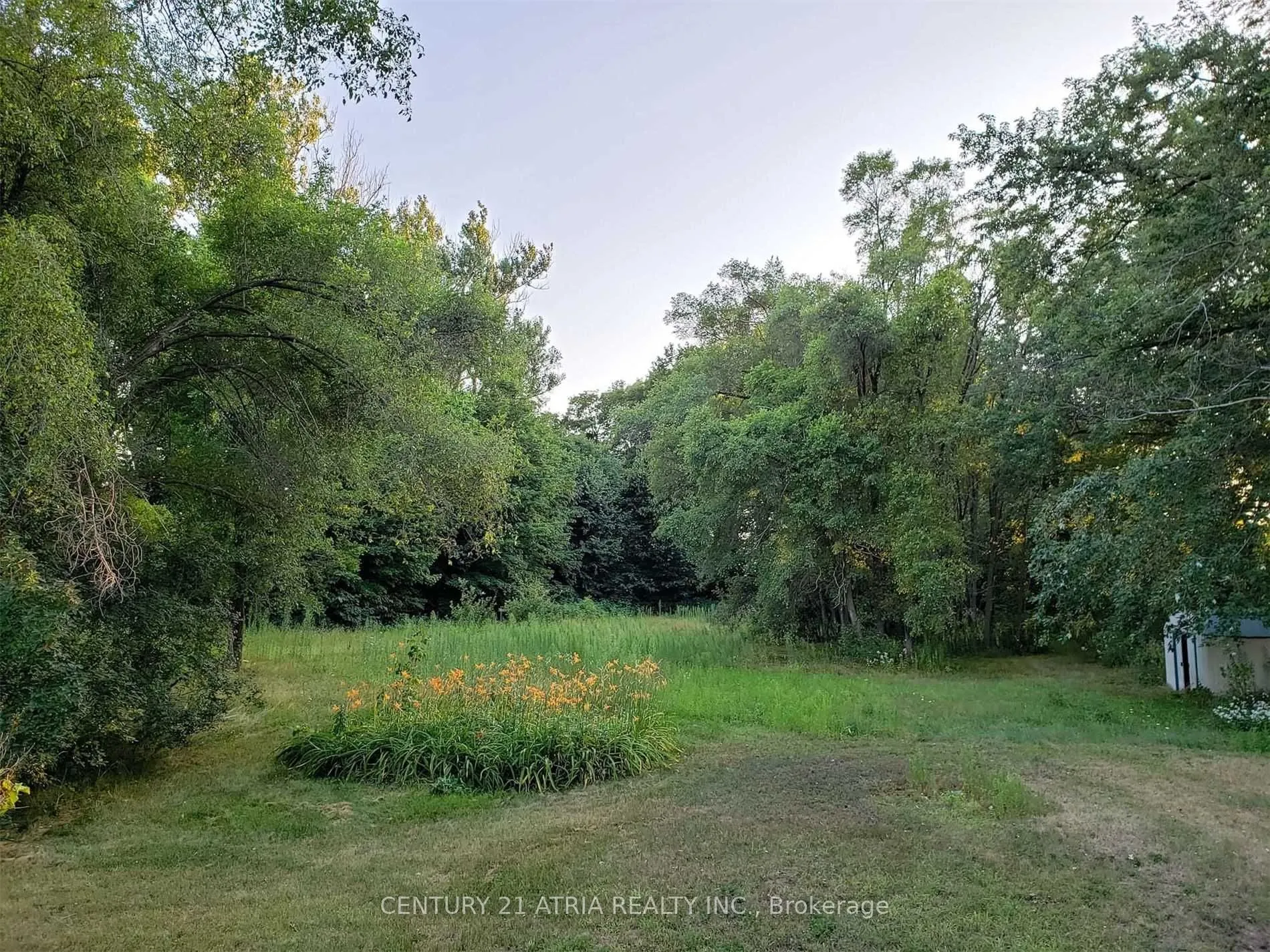 19452 Holland Landing Road