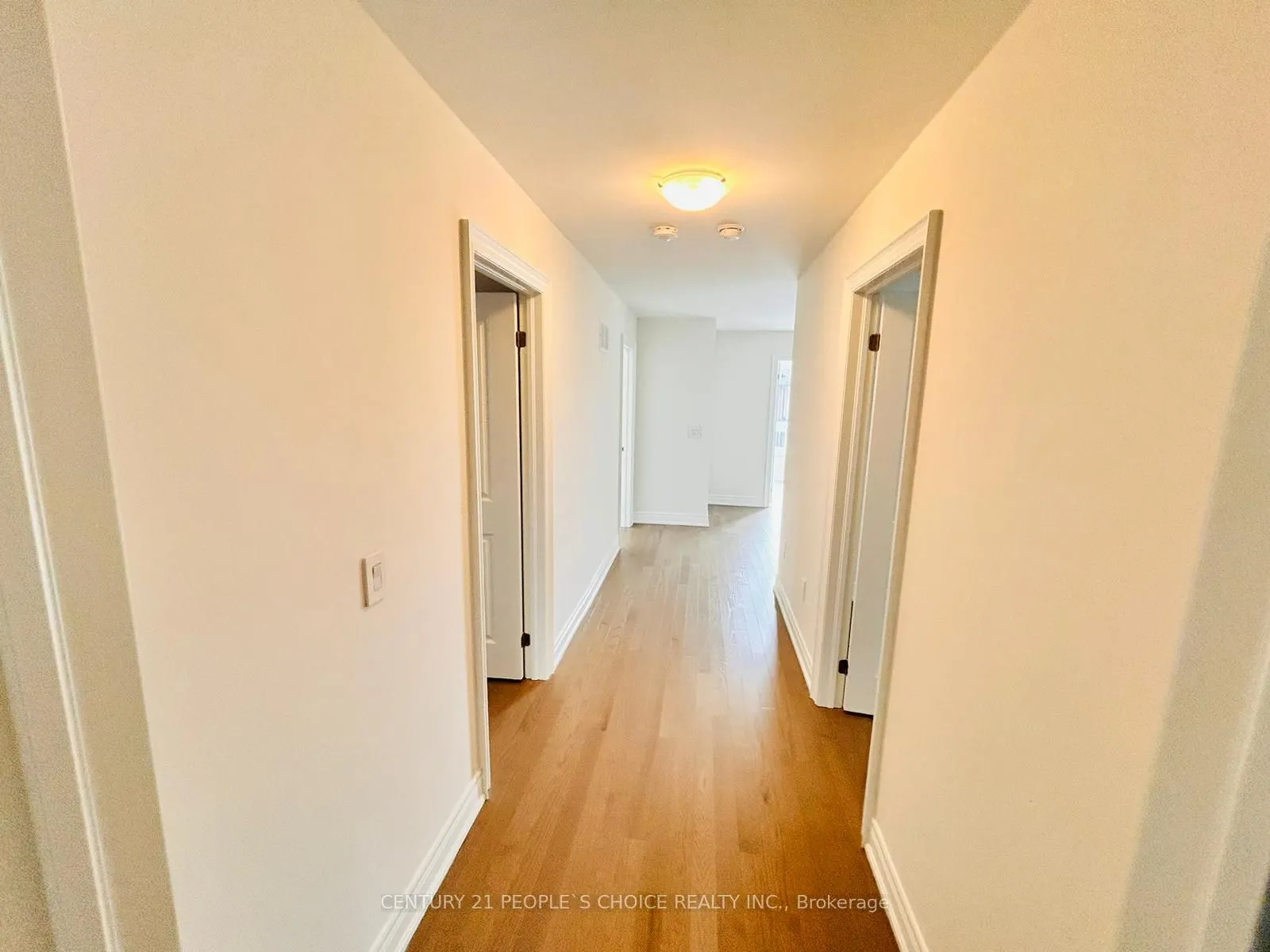 56 Plank Road