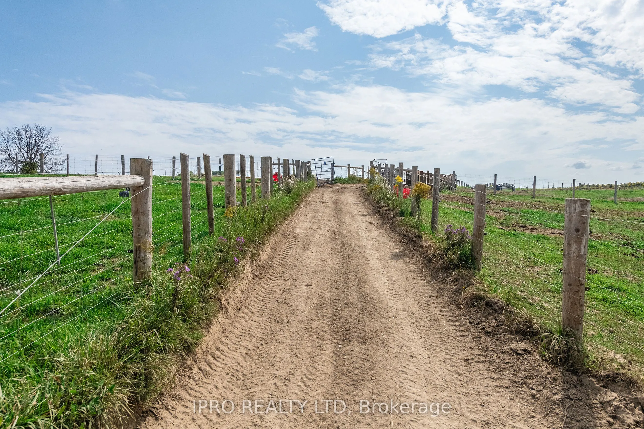 6845 19th Side Road