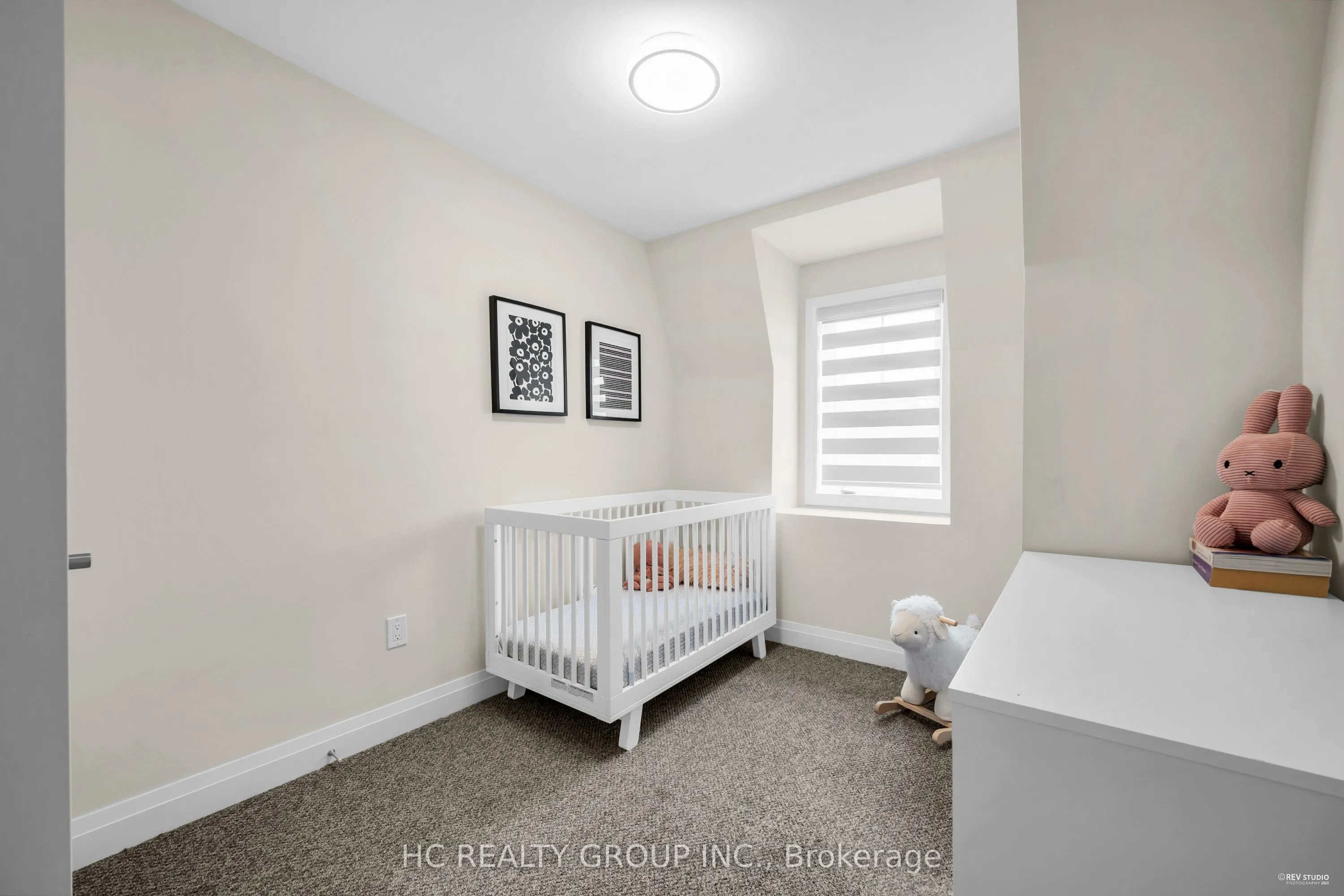 41 Mcconaghy Court