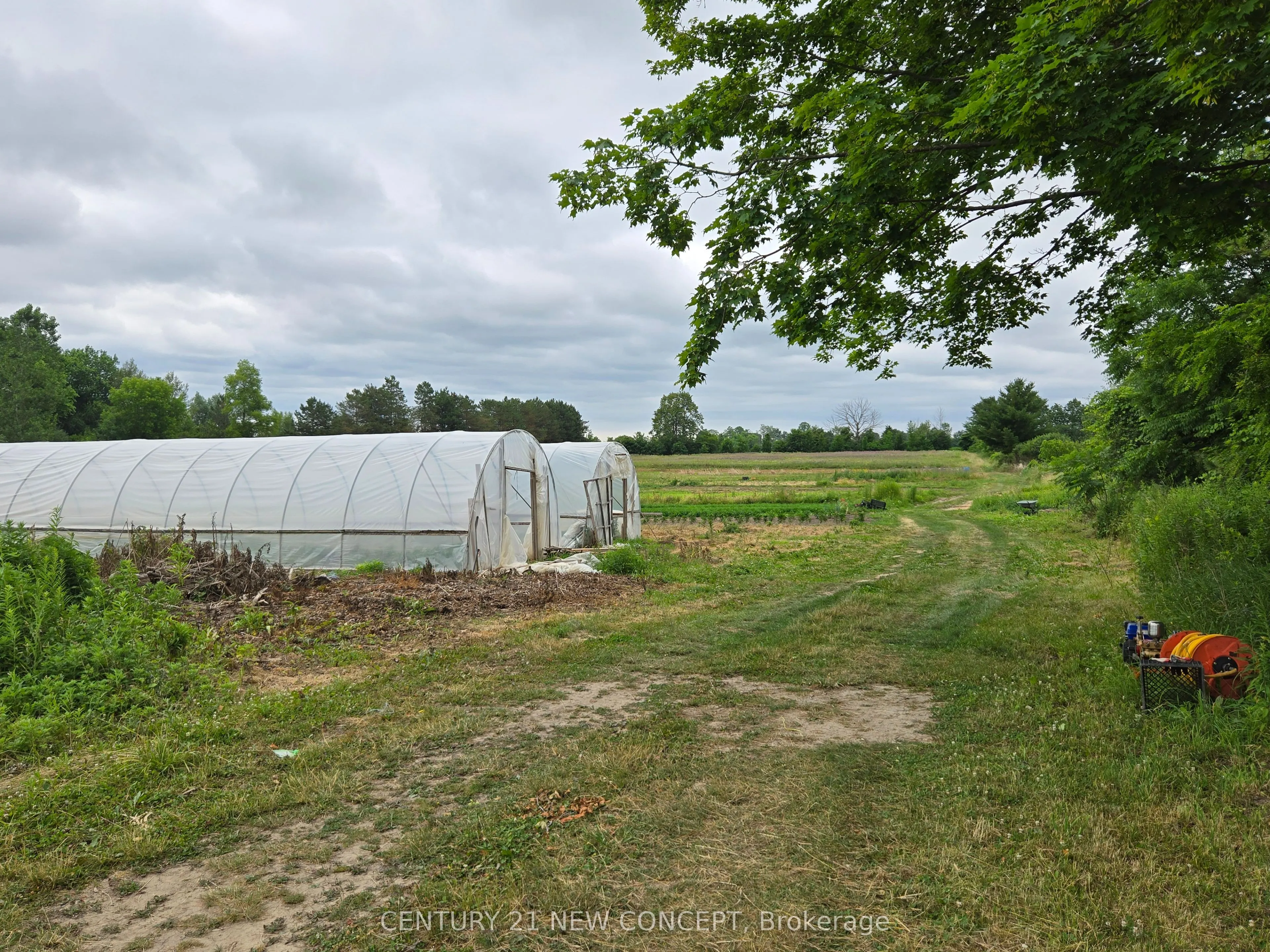 3569 Bethesda Road