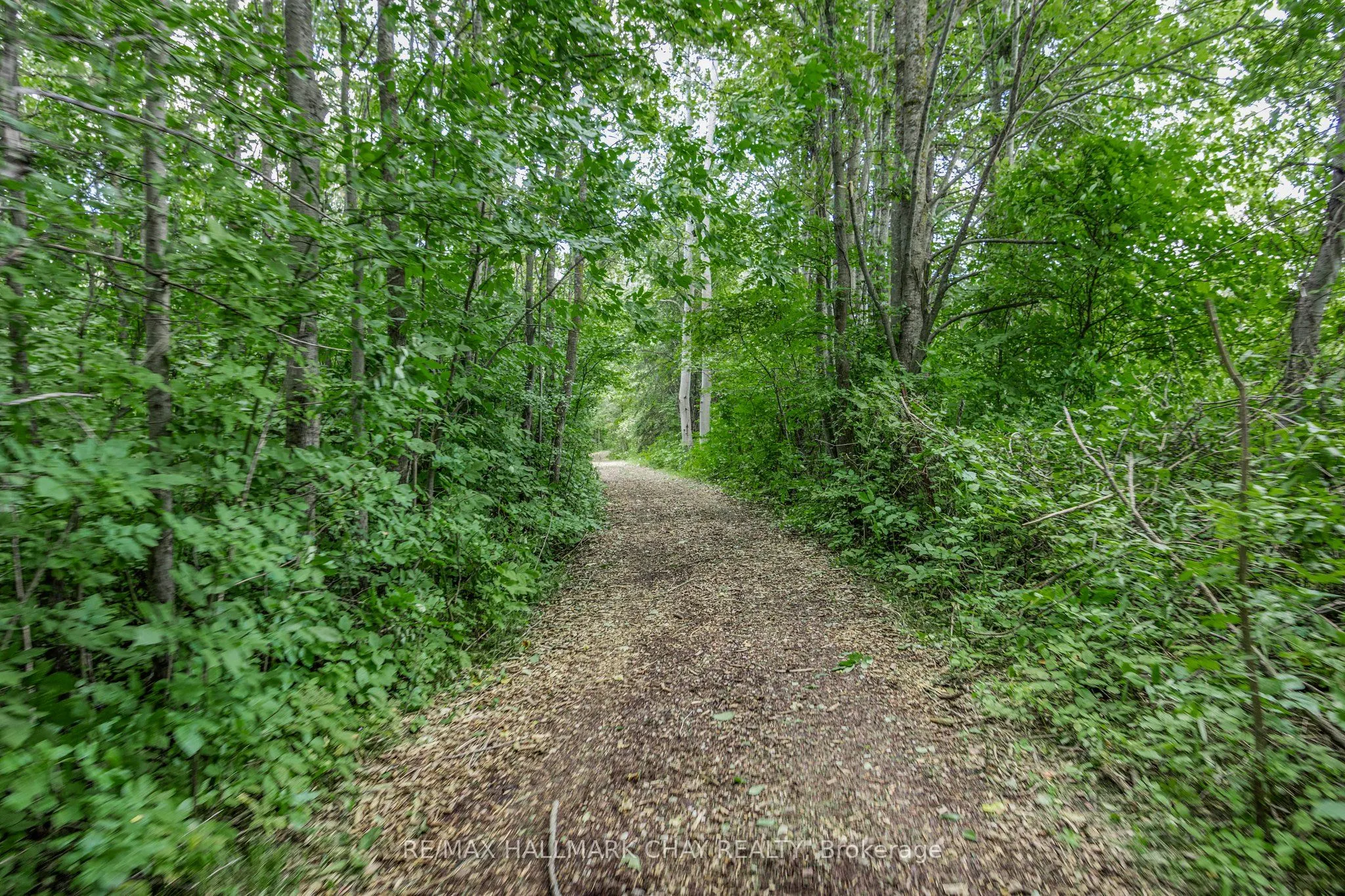 2592 Concession Road 4 Concession