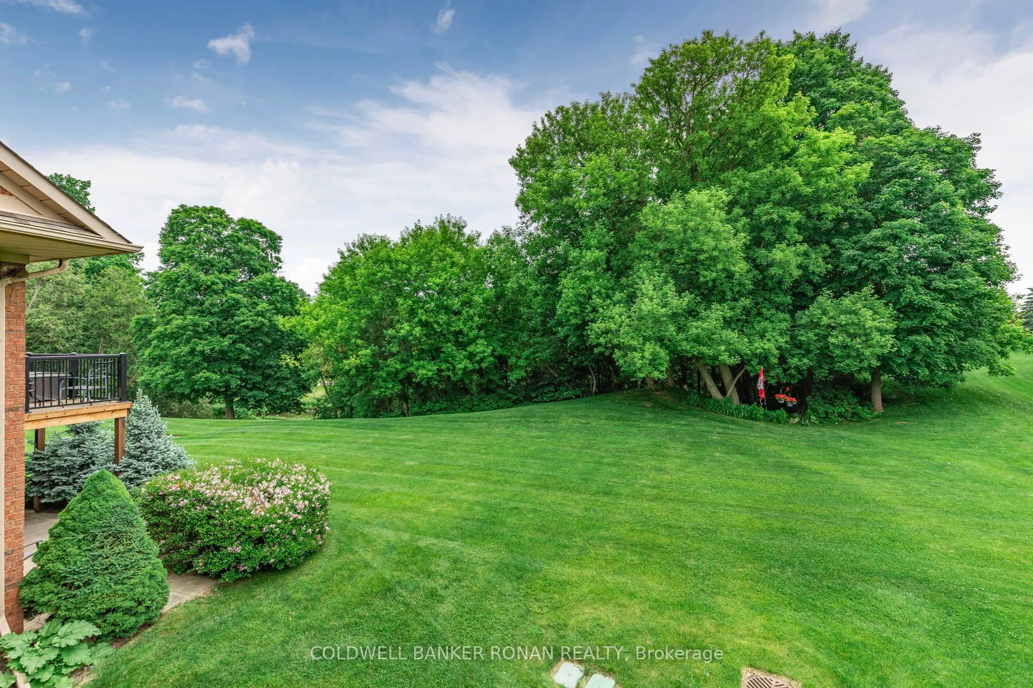 39 Bella Vista Trail, #29