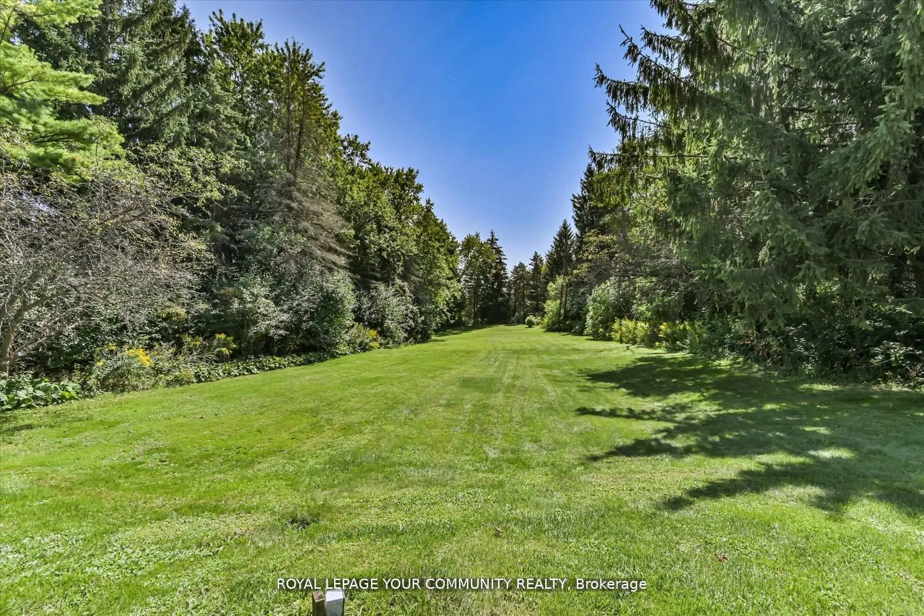 7 Skyview Lane