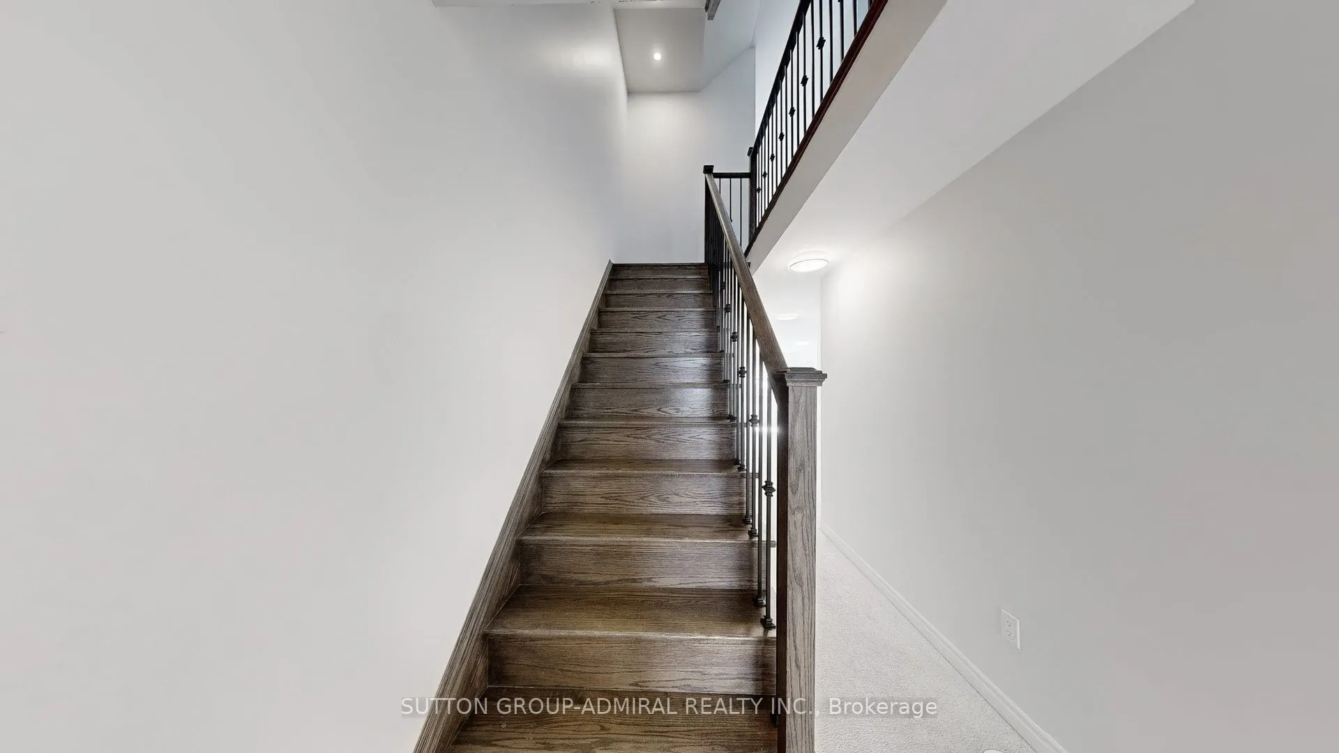 111 Golden Trail