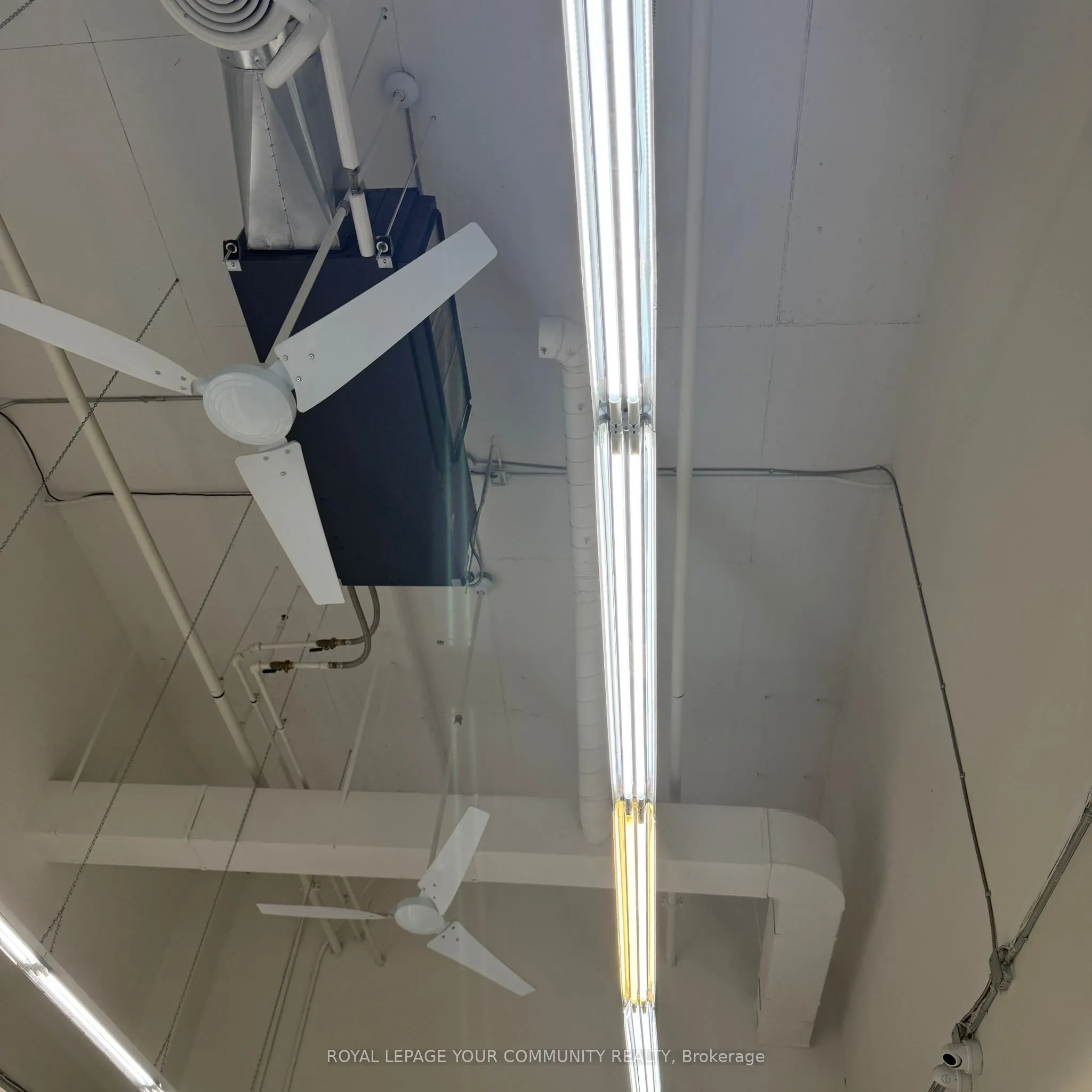 7181 Yonge Street, #4