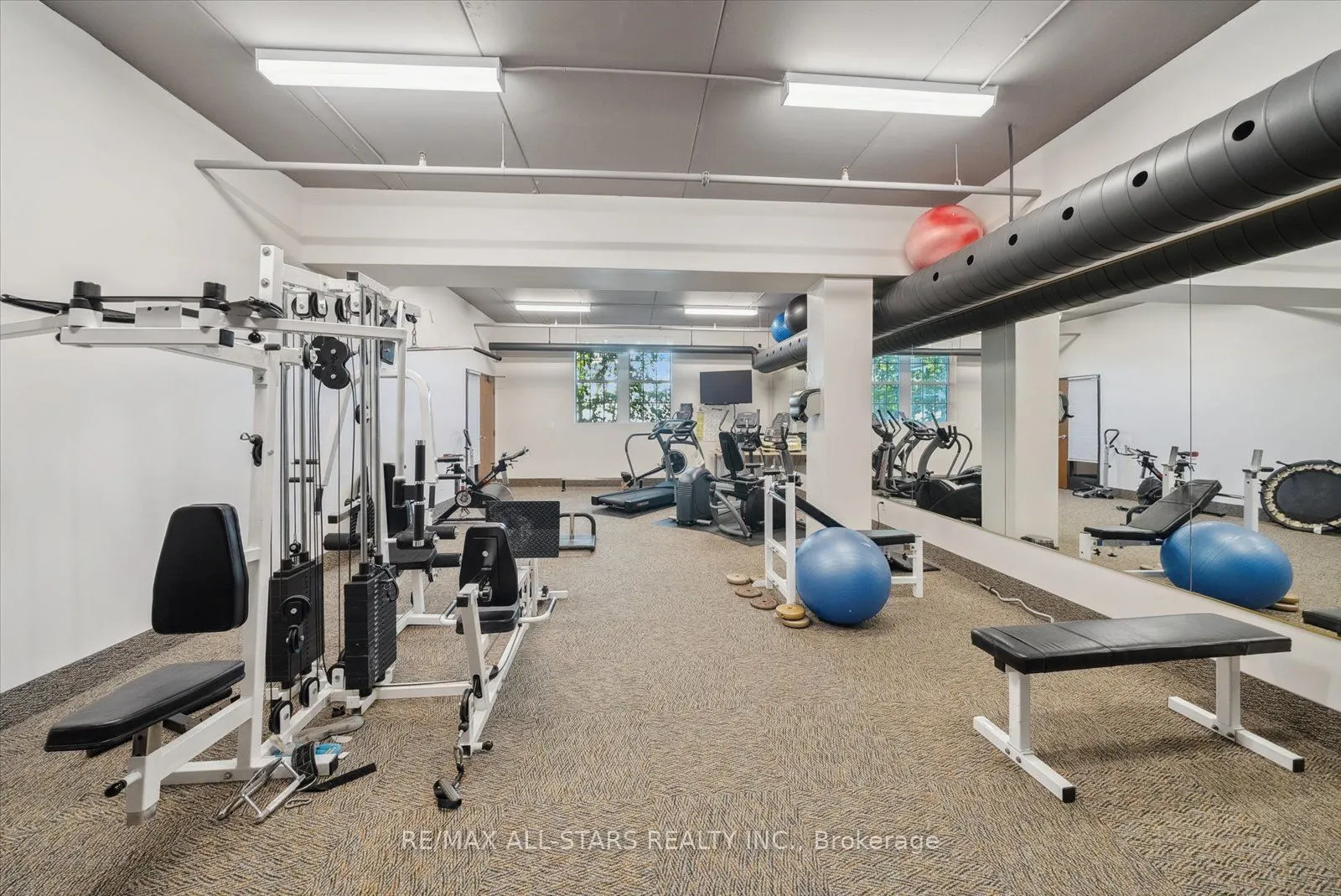 543 Timothy Street, #113