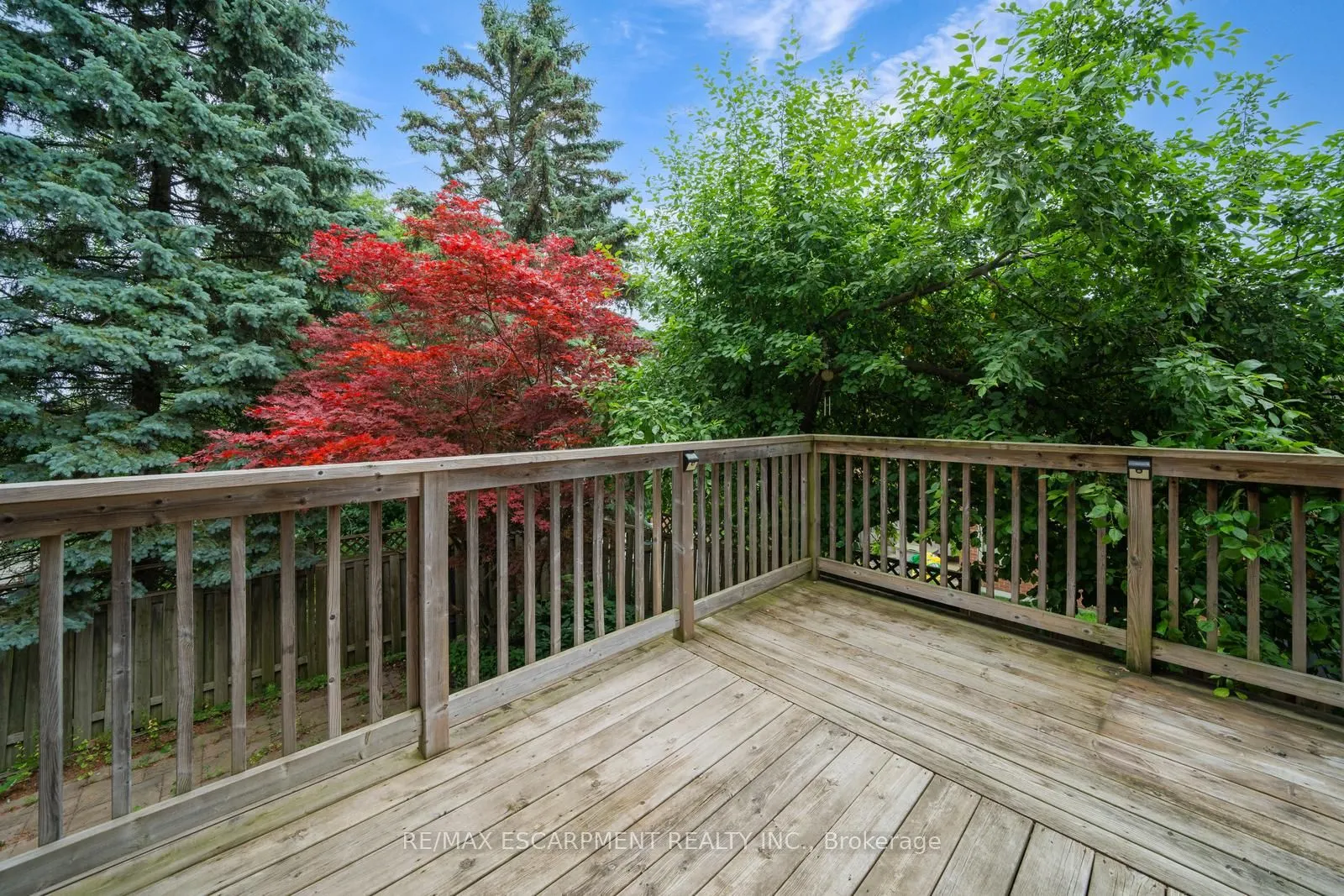102 Crawford Rose Drive
