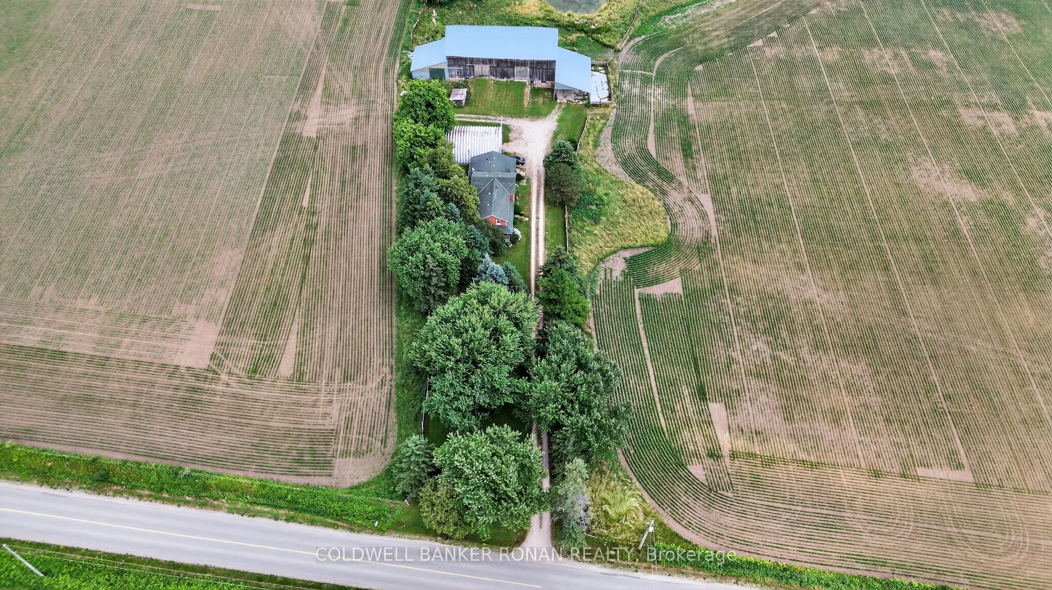 2577 Adjala-Tecumseth Townline