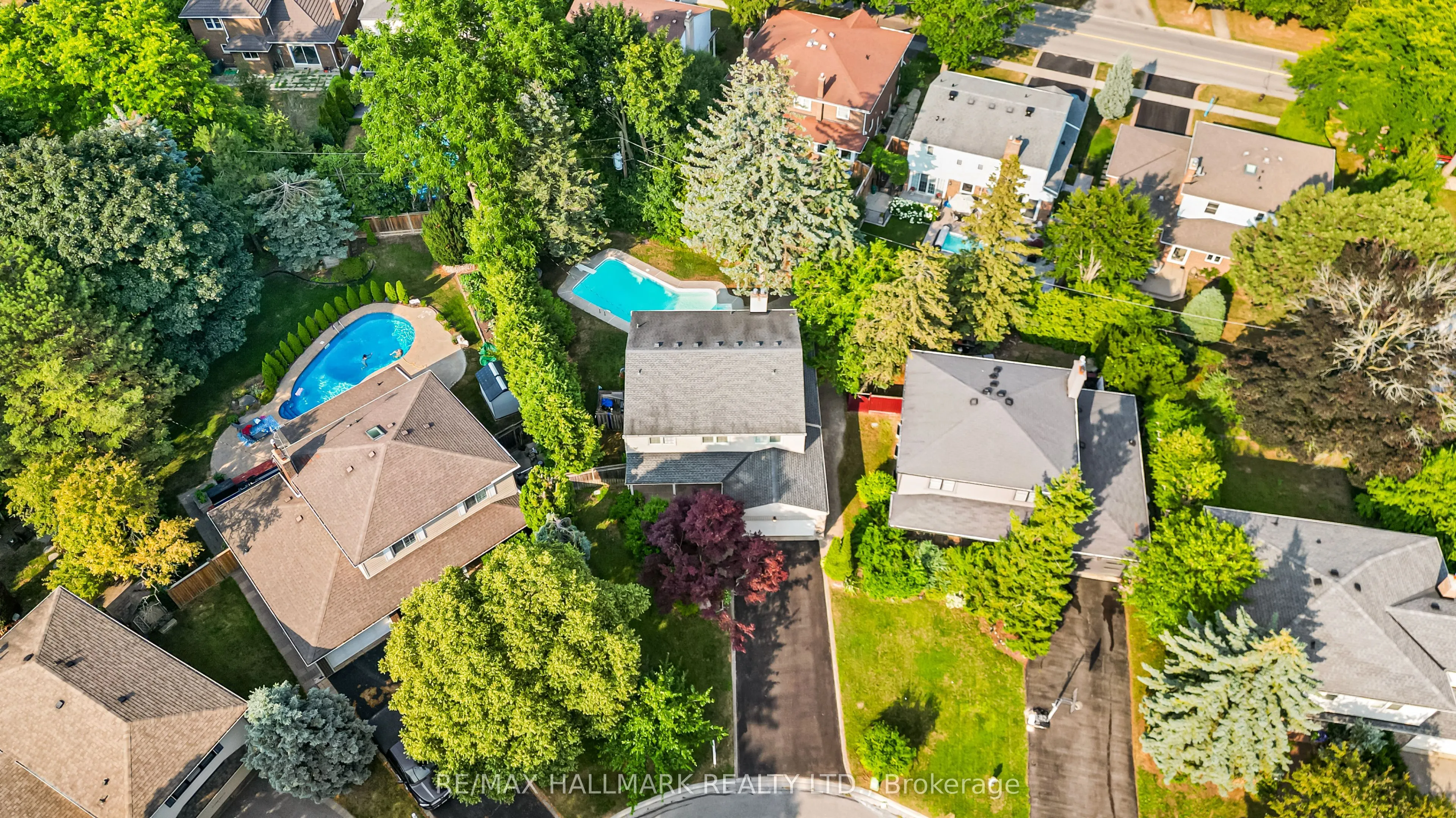 58 Silver Aspen Drive