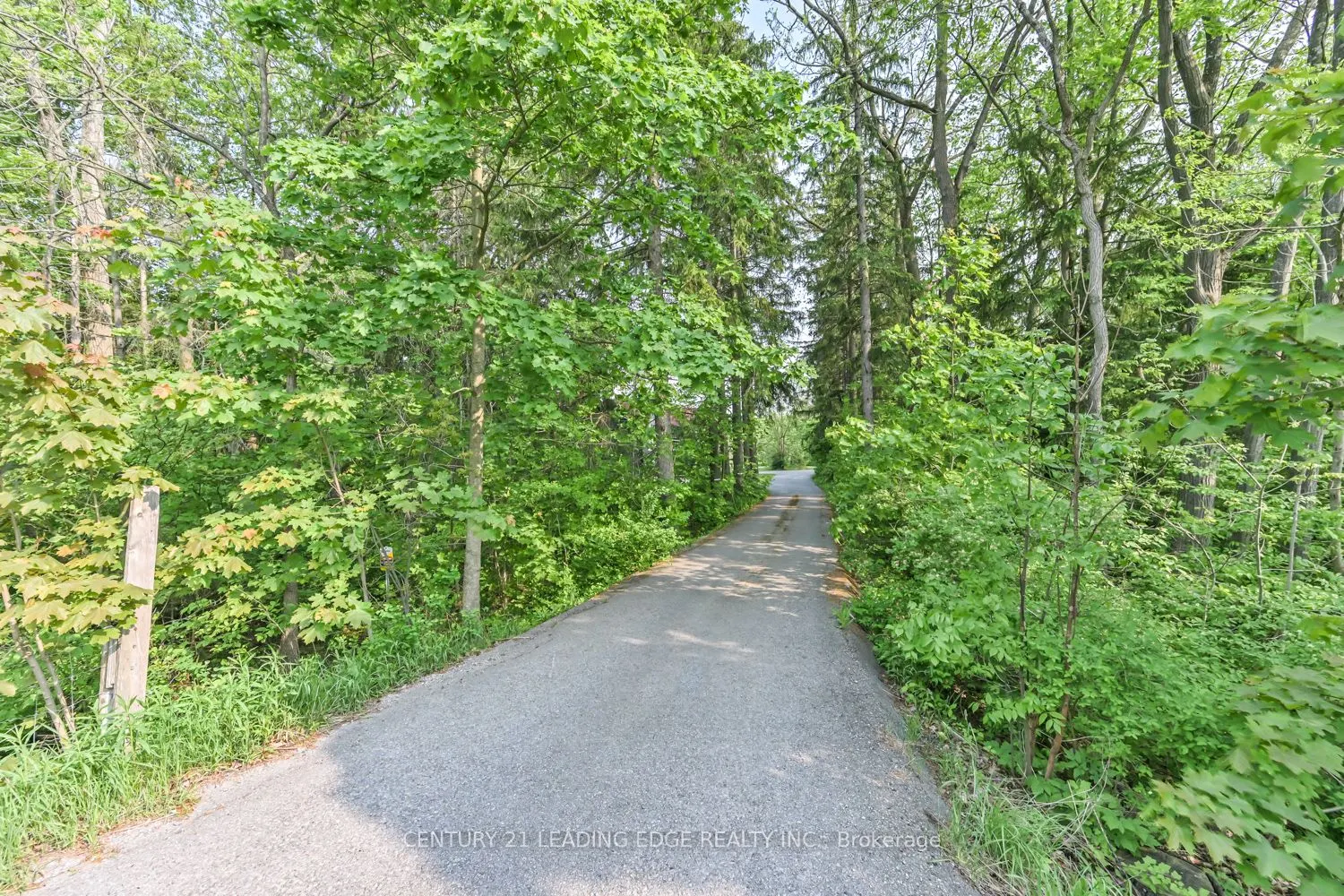 5845 Aurora Road
