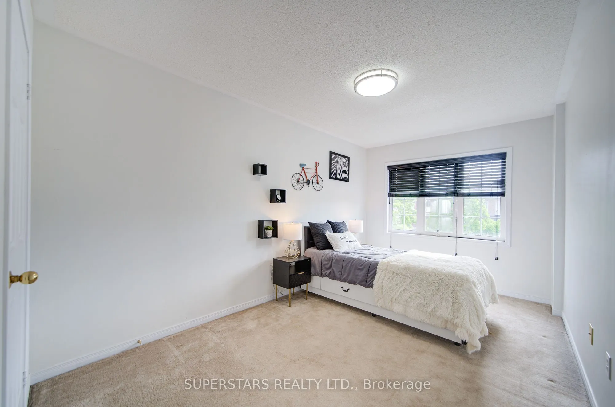 50 Macadam Road
