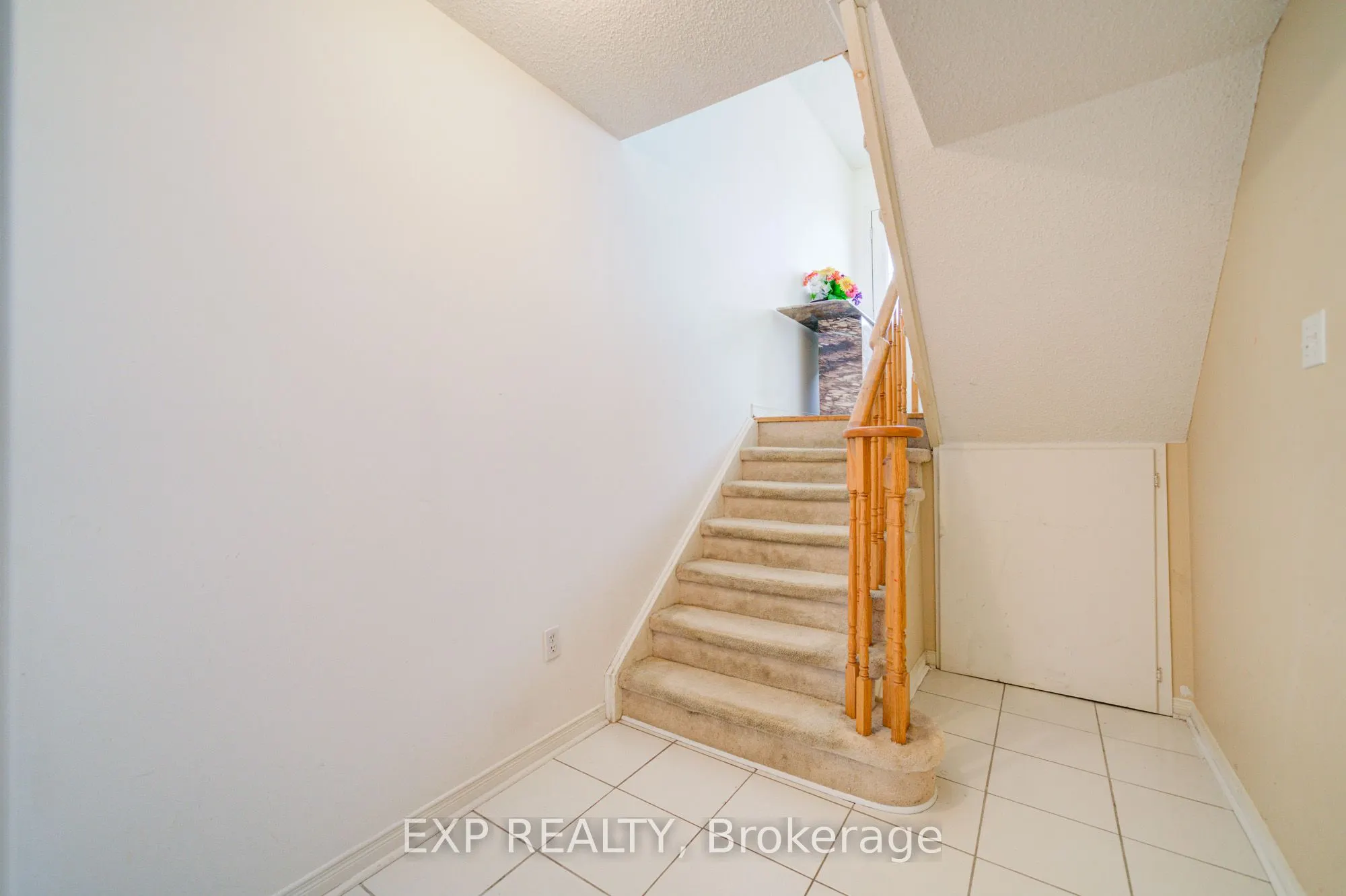 163 Sassafras Circle