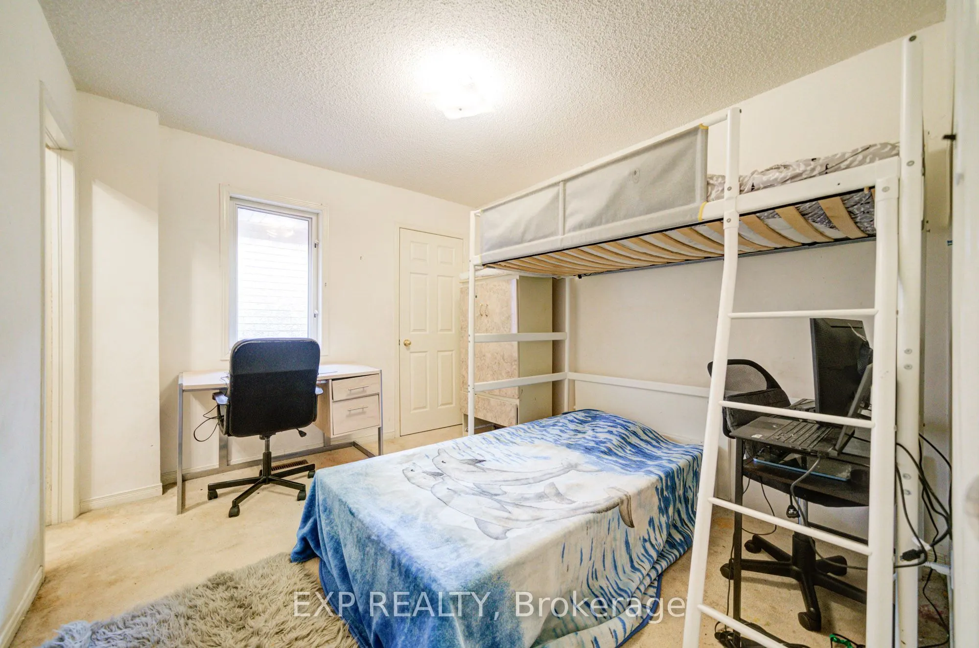 163 Sassafras Circle