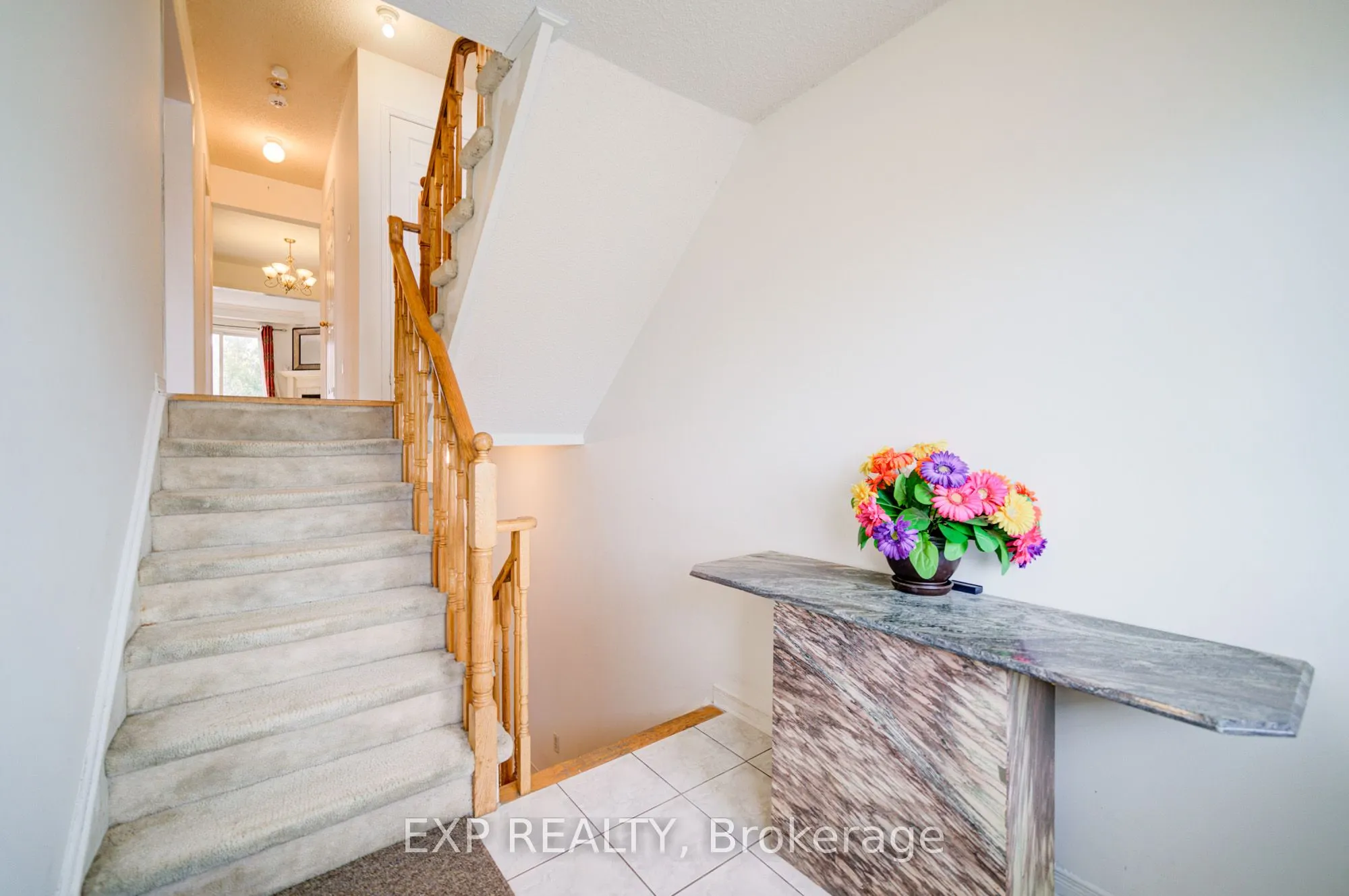 163 Sassafras Circle