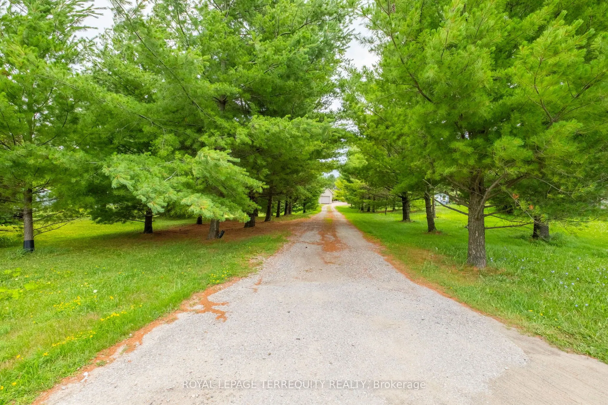 1041 15th Side Road