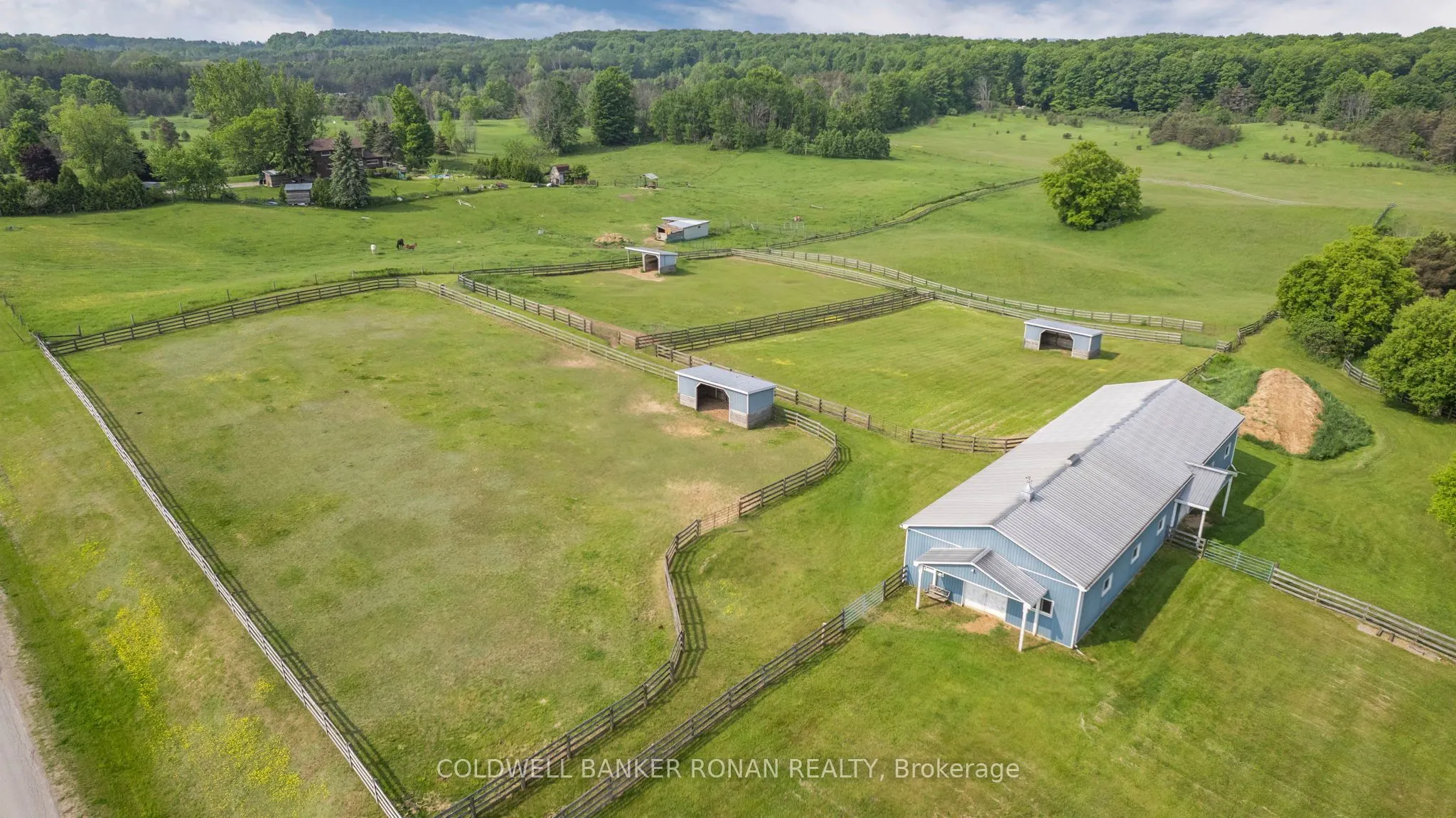 1604 Concession Rd 8