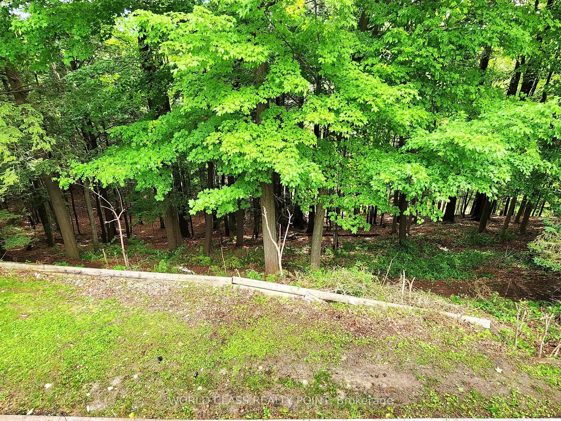 60 Kleins Ridge Road
