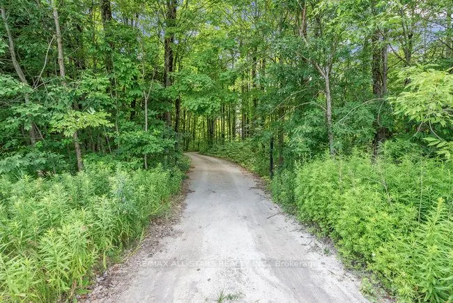 14586 York Durham Line Road