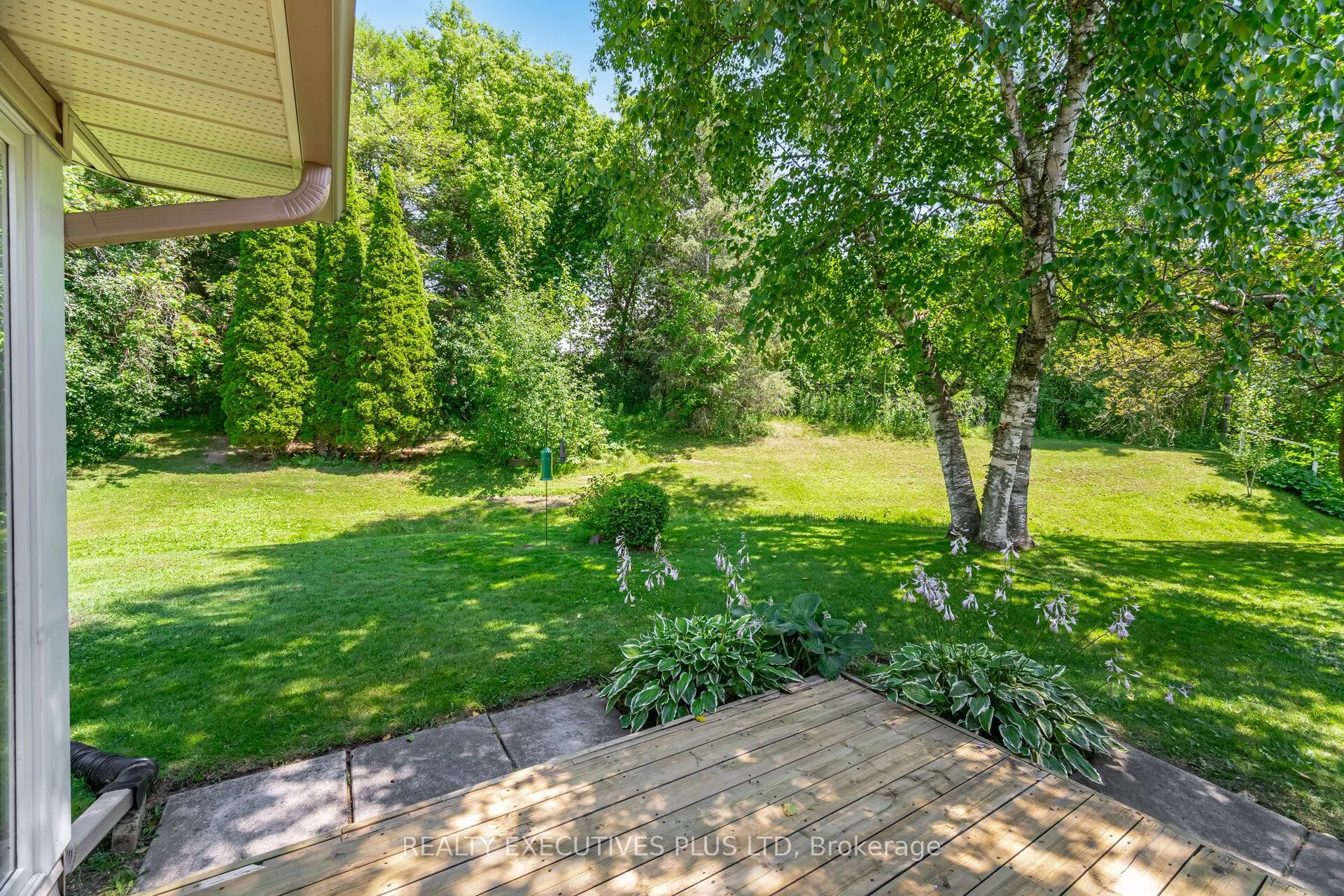 3 Pineview Court