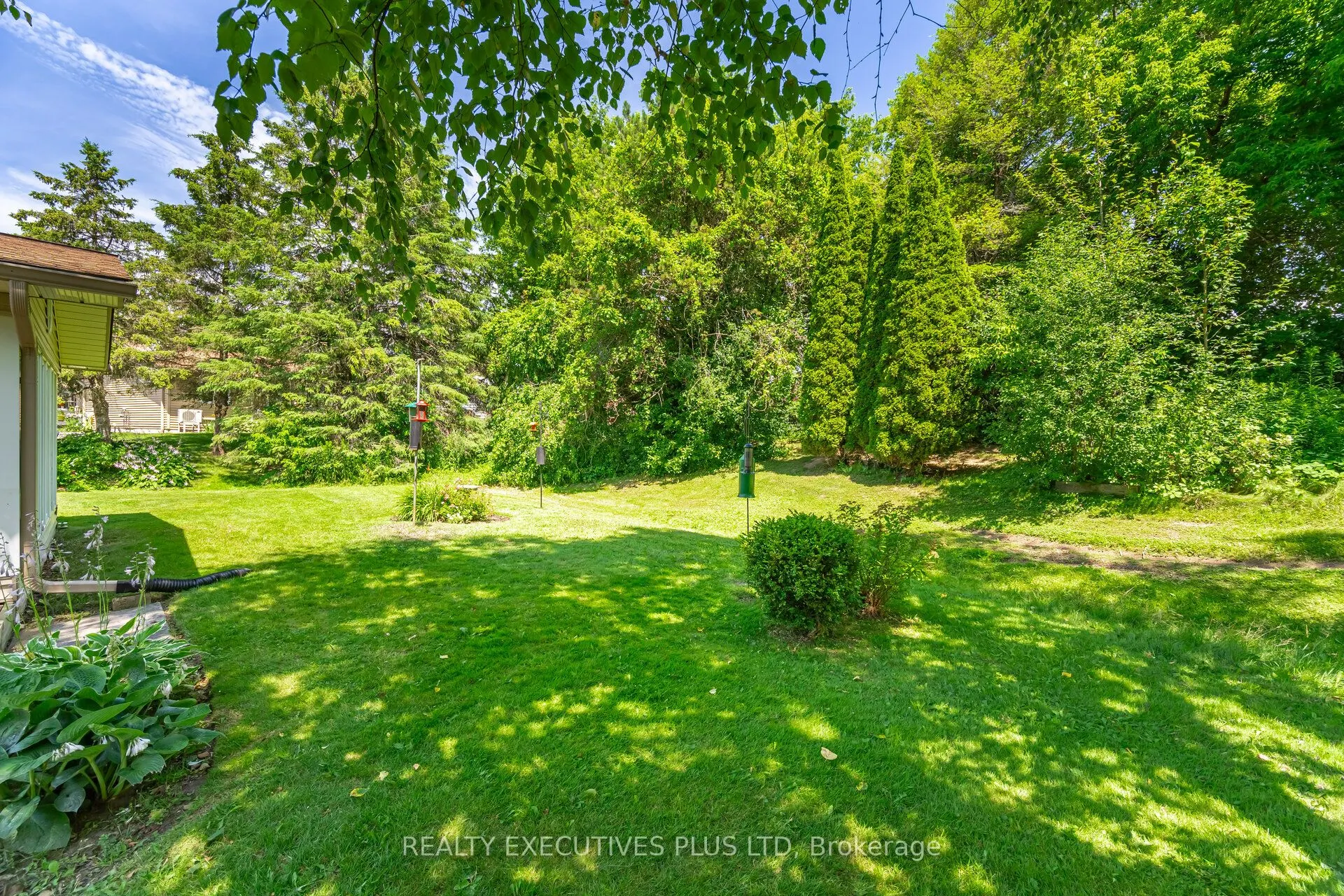3 Pineview Court