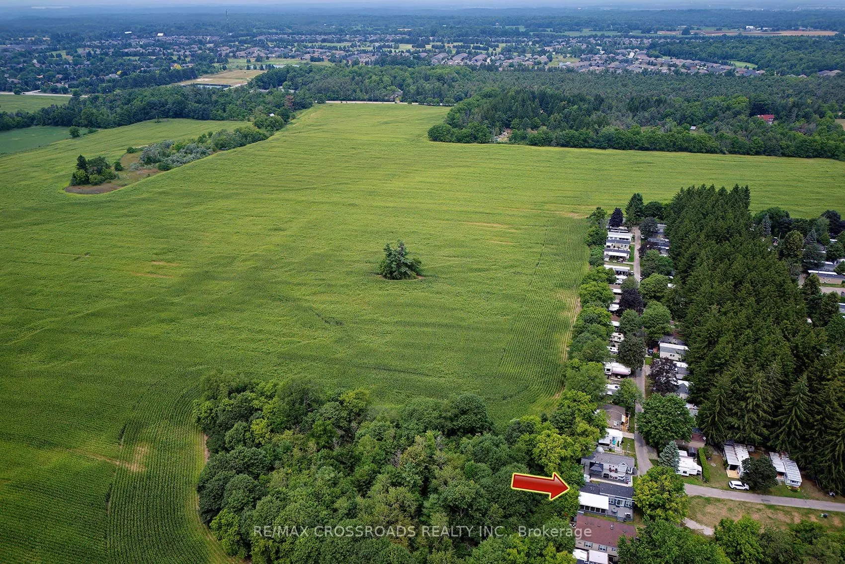 15014 Ninth Line,Spruce 40