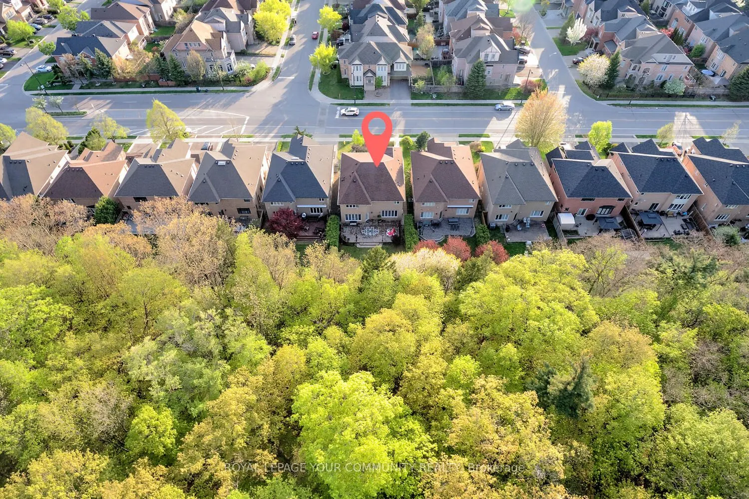119 Thornhill Woods Drive
