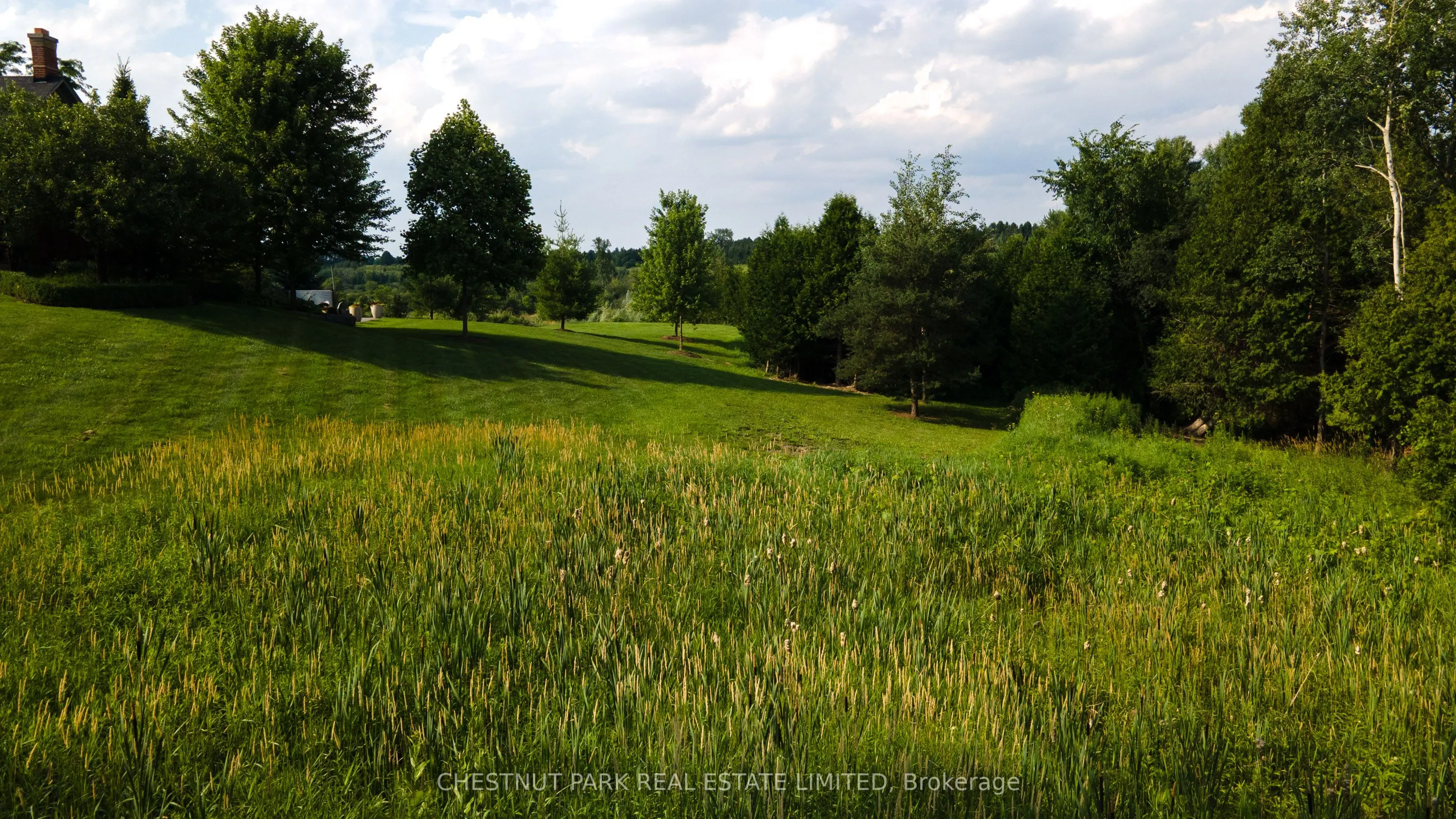 908 Vandorf Side Road
