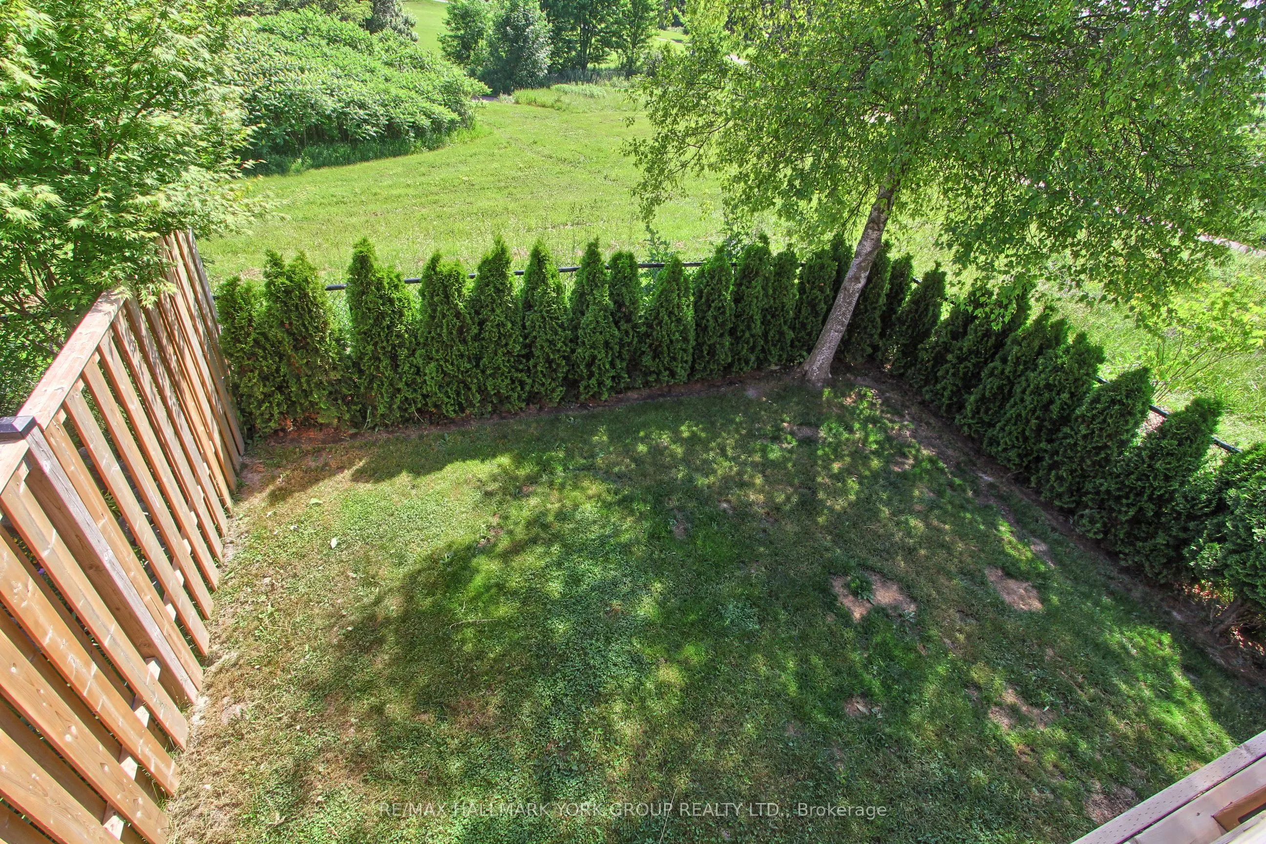 316 Pinnacle Trail