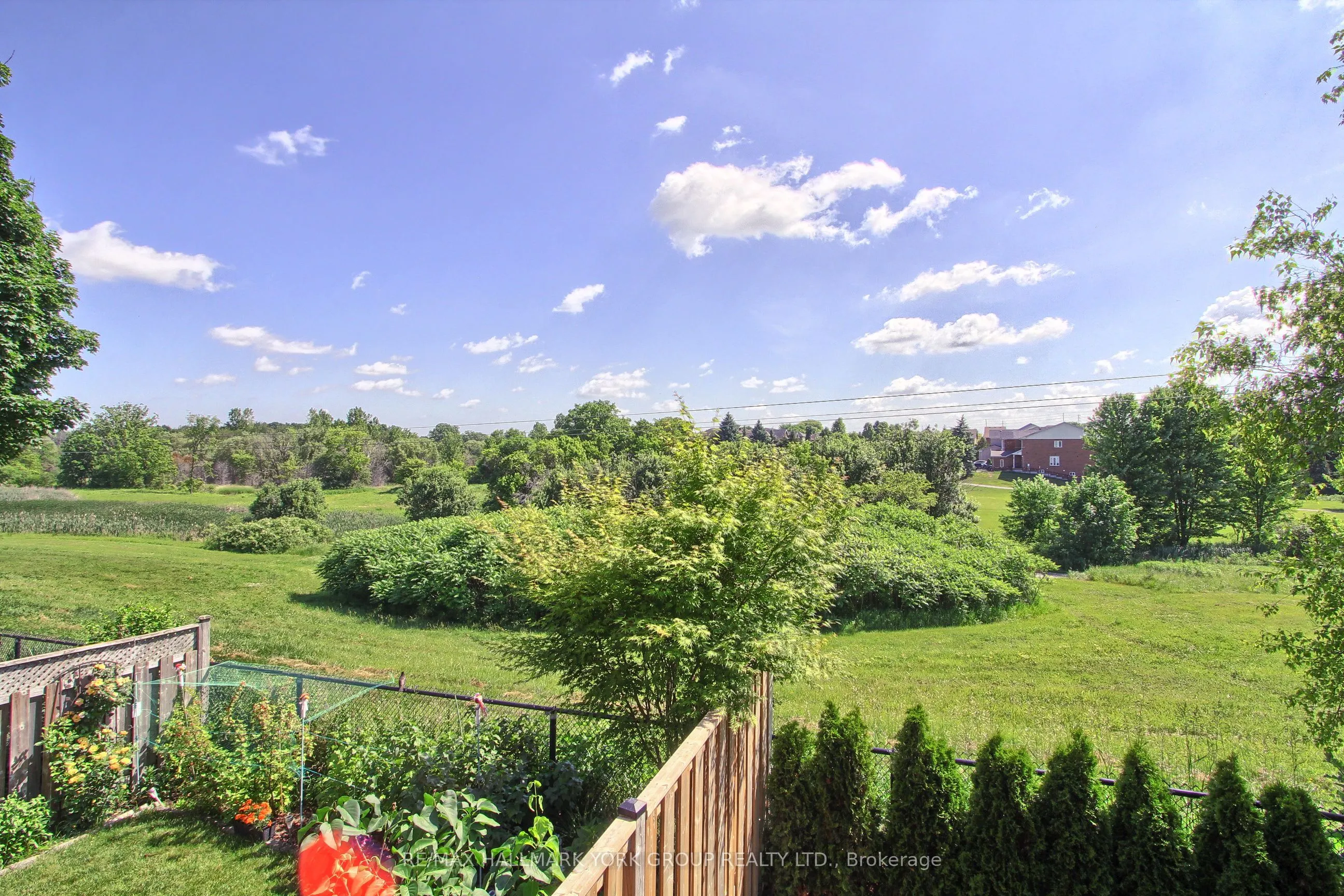 316 Pinnacle Trail