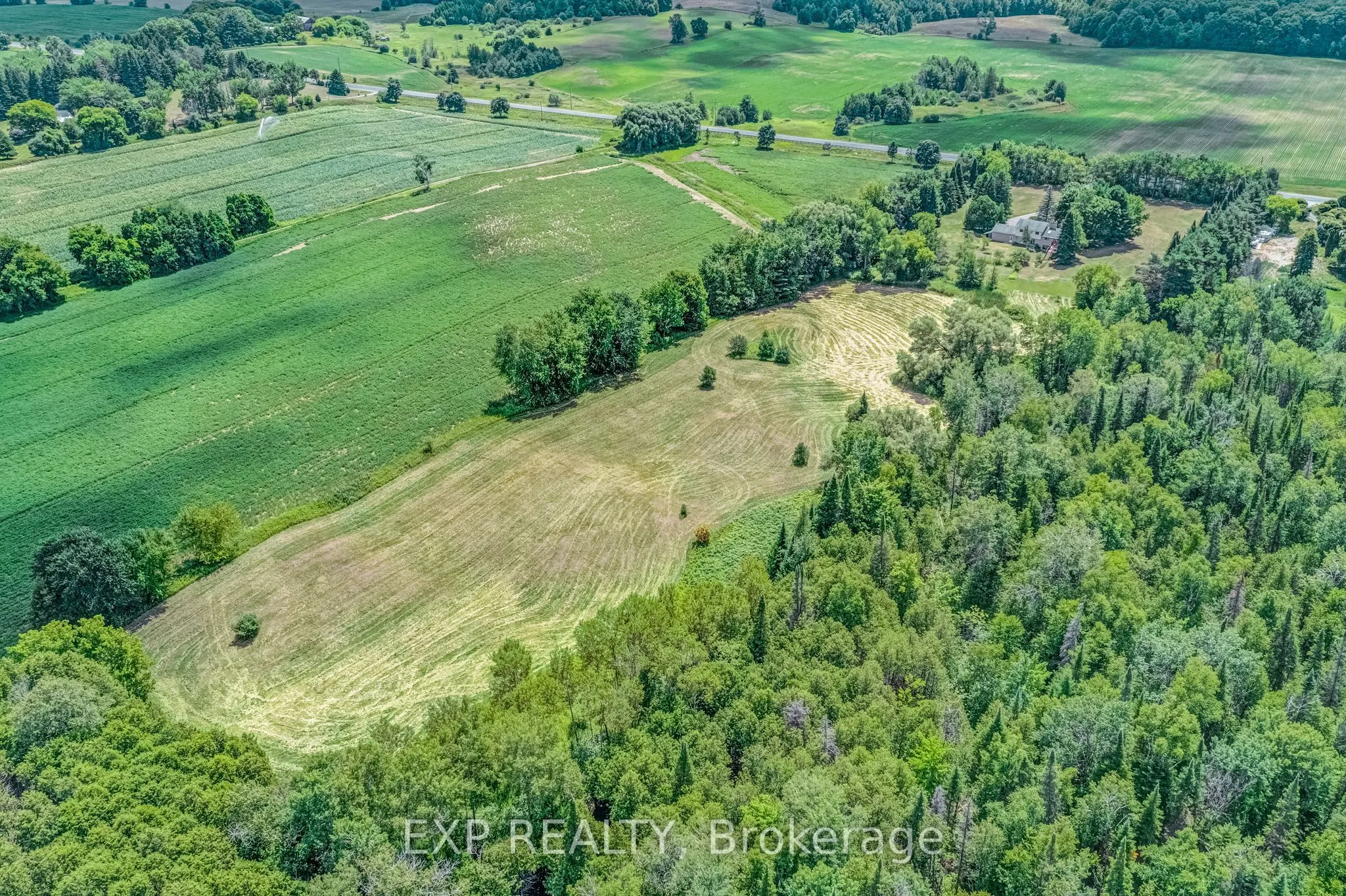 3990 Mount Albert Road