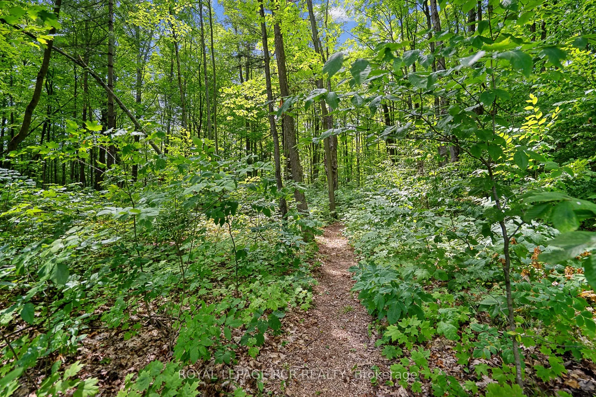 30 Loggers Trail