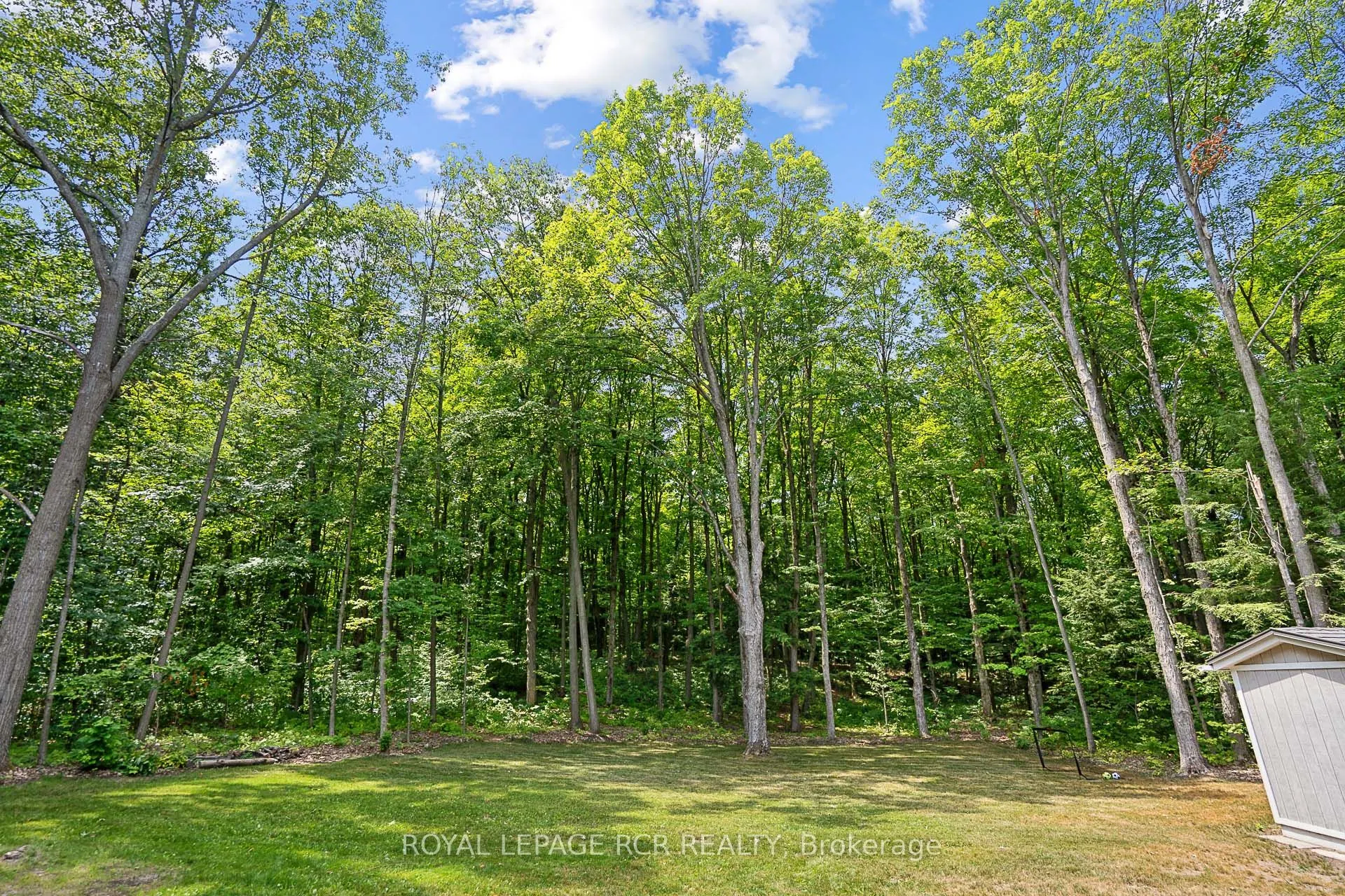 30 Loggers Trail