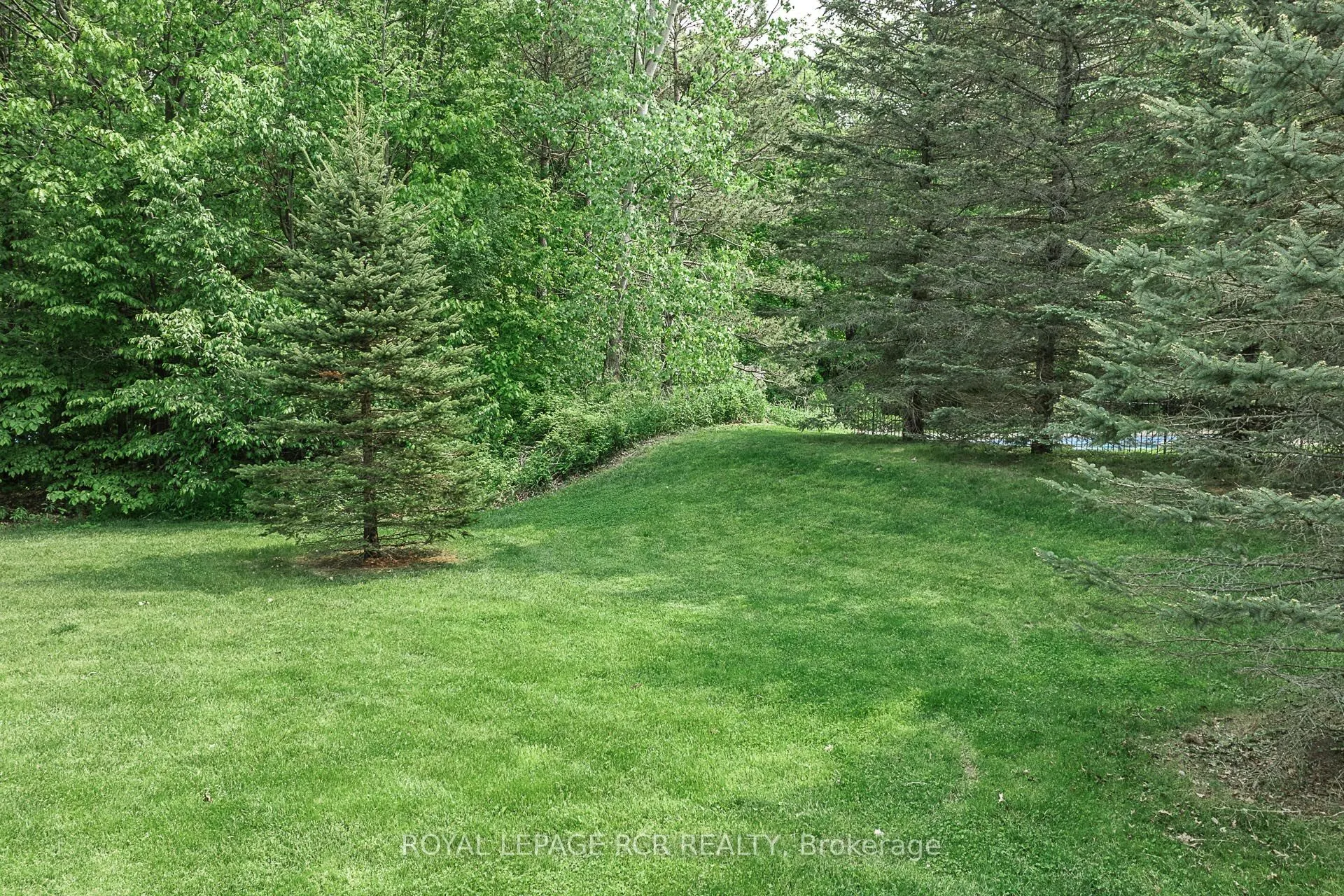 12 Deer Run