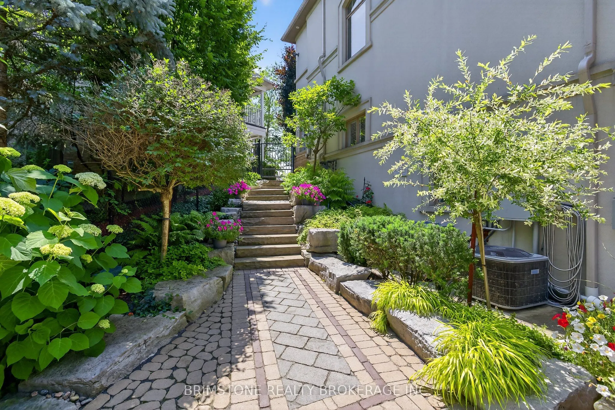 123 Salamander Court